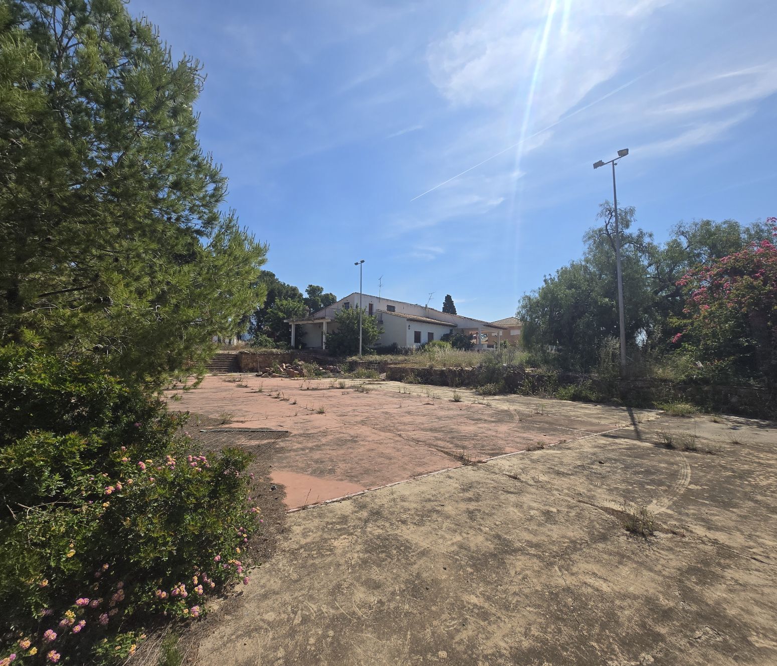 Fincas y solares-Venta-PuÃ§ol-2411855-Foto-31