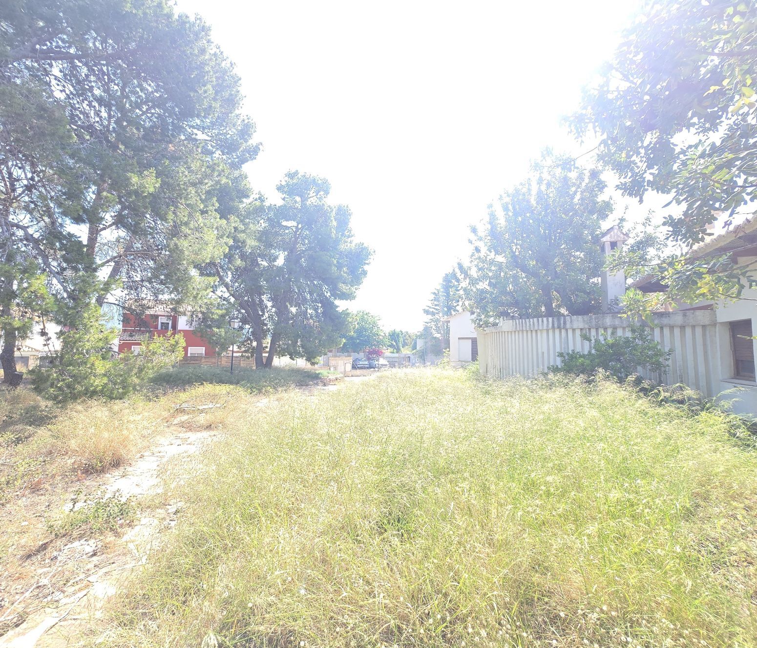 Fincas y solares-Venta-PuÃ§ol-2411855-Foto-34