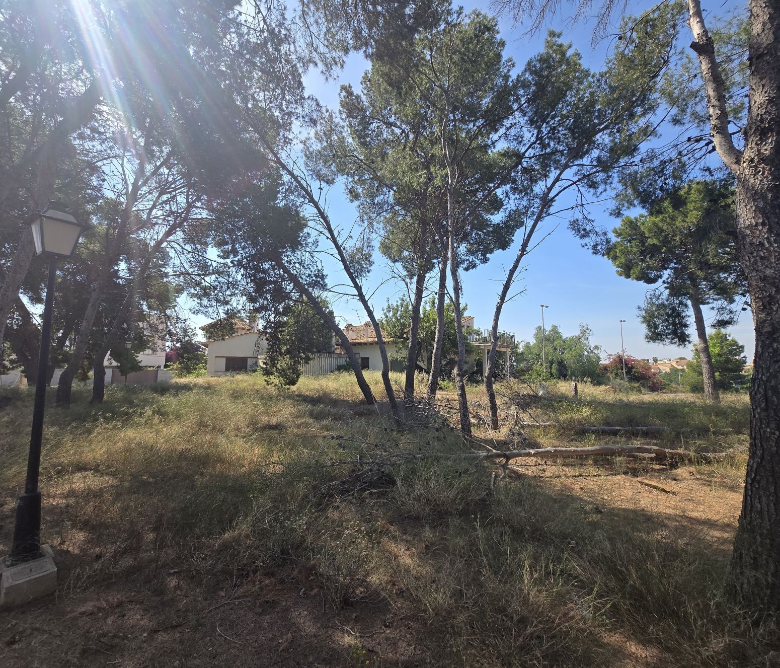 Fincas y solares-Venta-PuÃ§ol-2411855-Foto-36