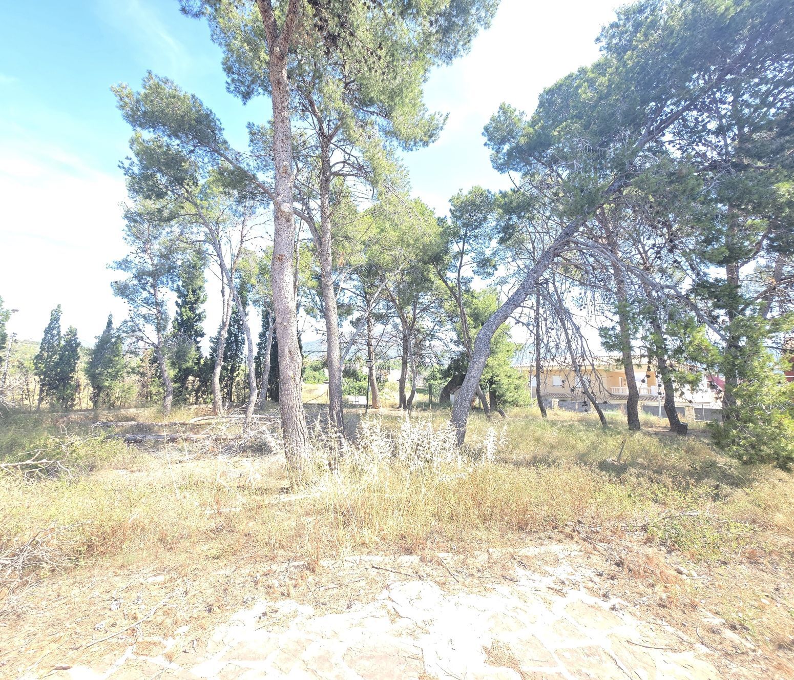 Fincas y solares-Venta-PuÃ§ol-2411855-Foto-35
