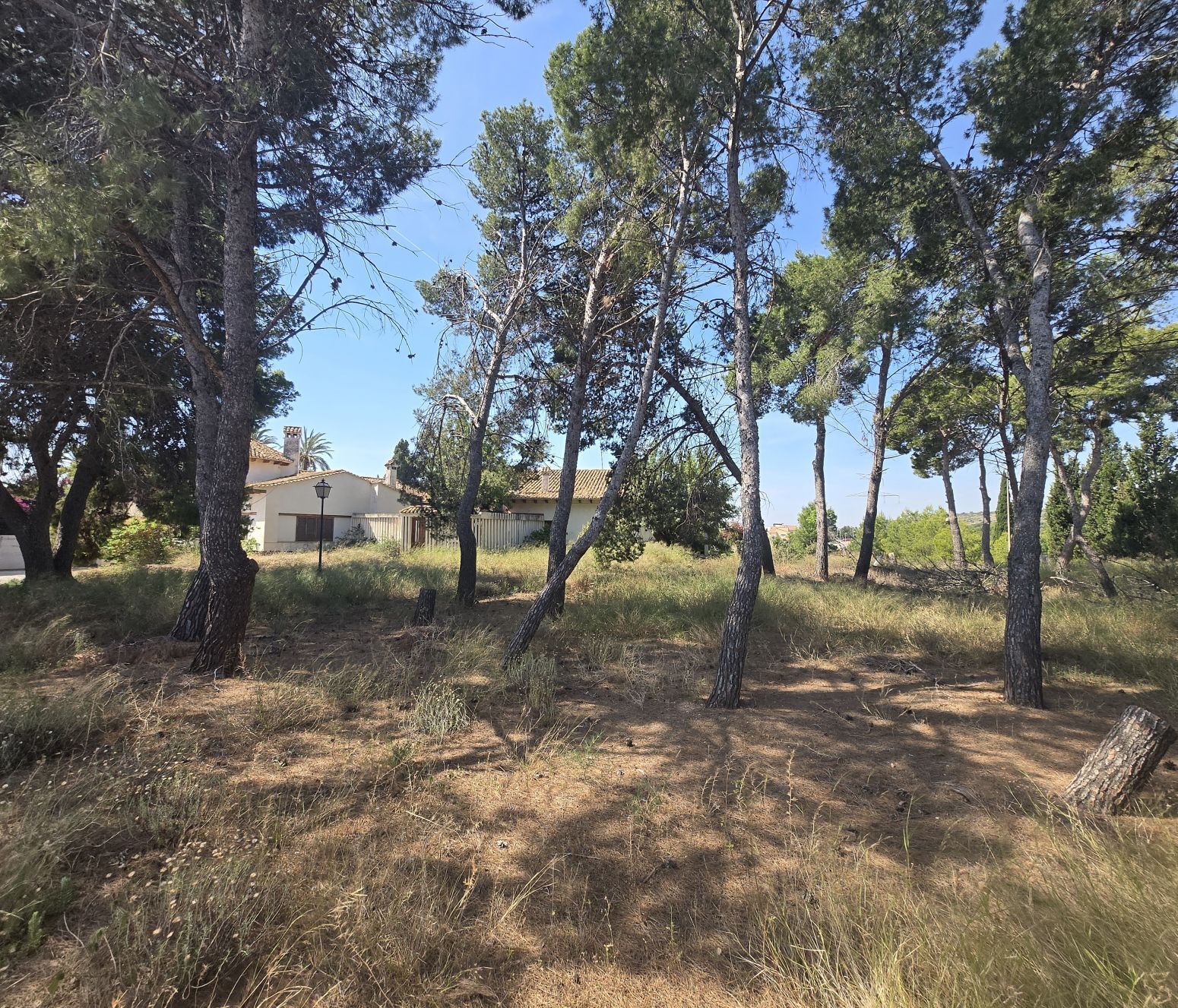Fincas y solares-Venta-PuÃ§ol-2411855-Foto-40