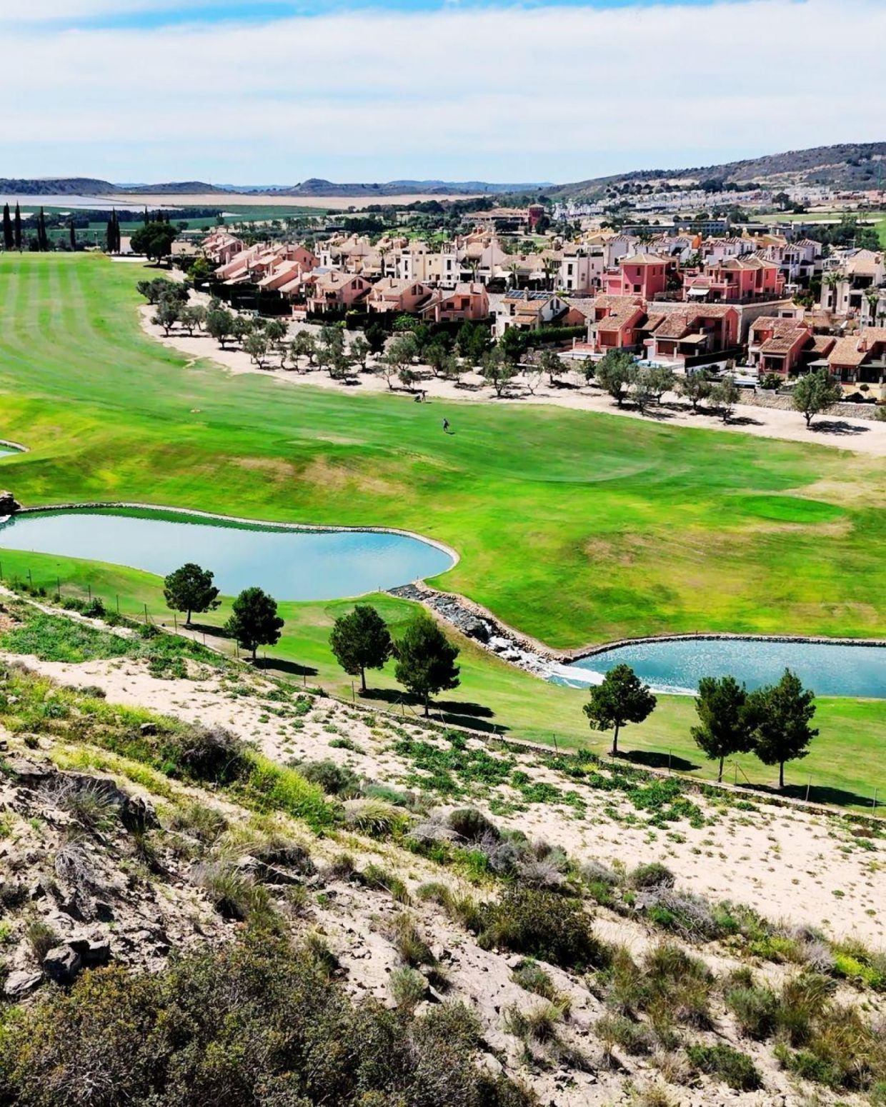 Casas o chalets-Venta-Algorfa-2411840-Foto-14
