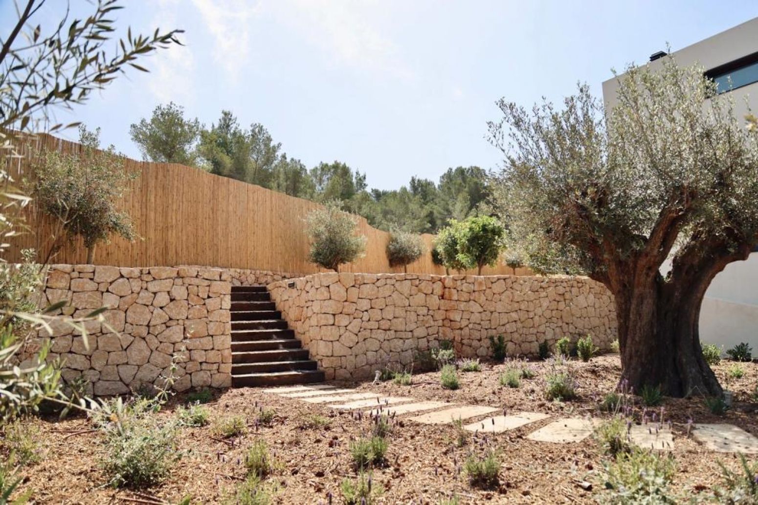 Casas o chalets-Venta-Santa Eulalia del RÃ­o-2442470-Foto-73