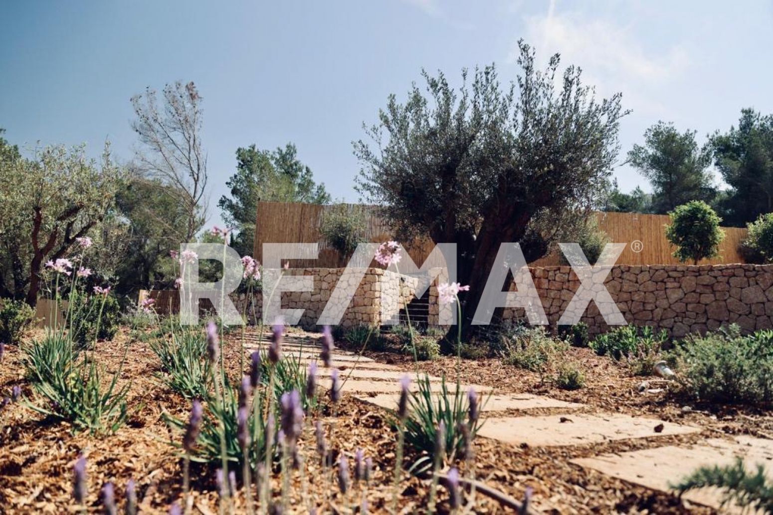 Casas o chalets-Venta-Santa Eulalia del RÃ­o-2442470-Foto-75