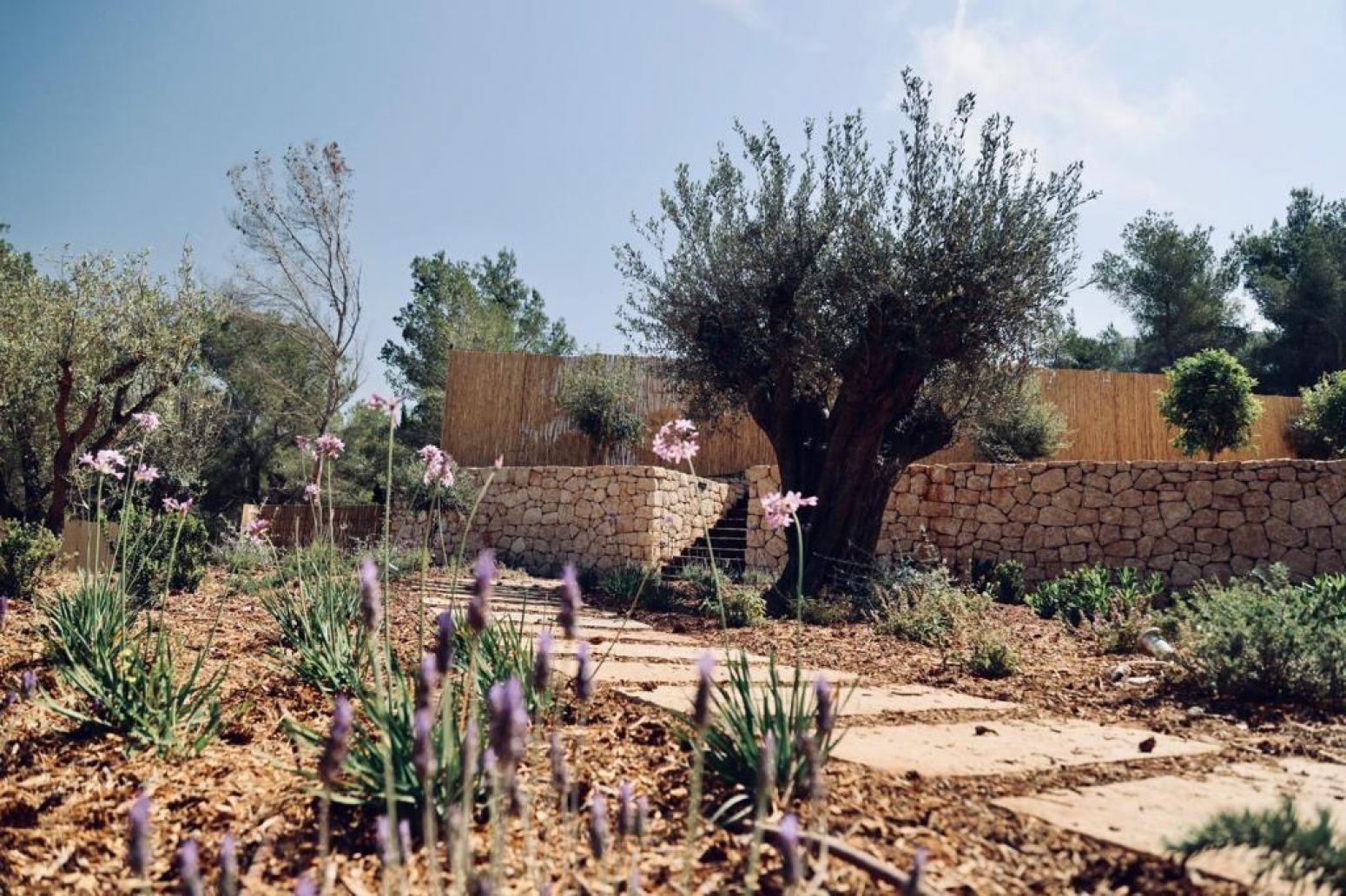 Casas o chalets-Venta-Santa Eulalia del RÃ­o-2442470-Foto-76