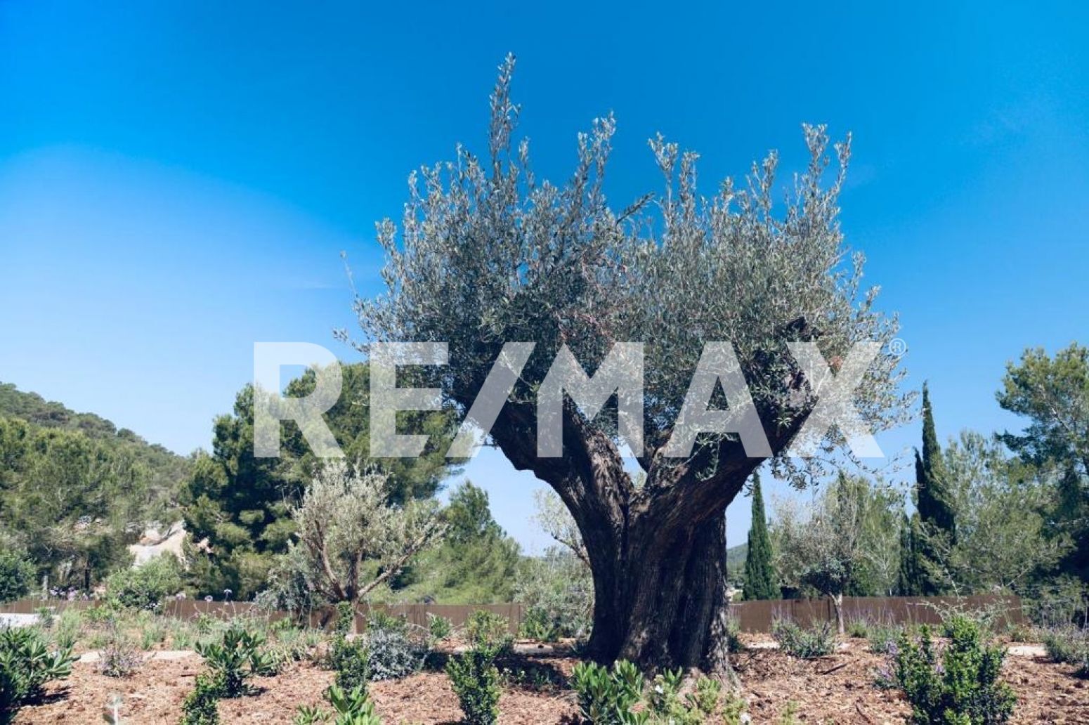 Casas o chalets-Venta-Santa Eulalia del RÃ­o-2442470-Foto-88