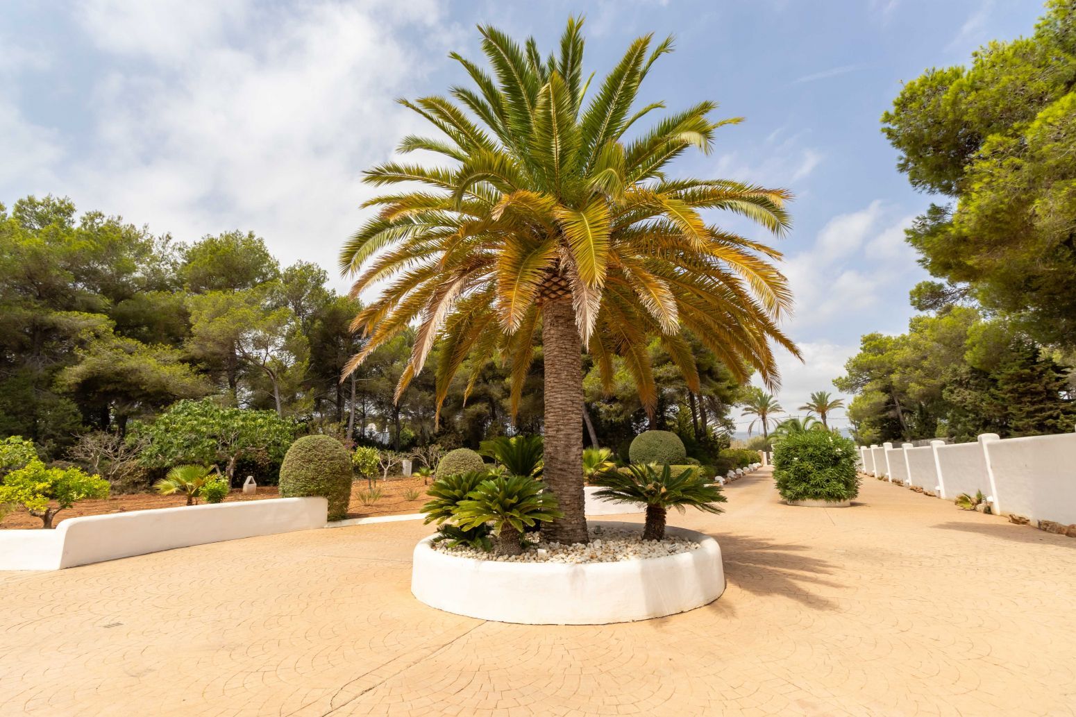 Casas o chalets-Venta-Santa Eulalia del RÃ­o-2442452-Foto-23