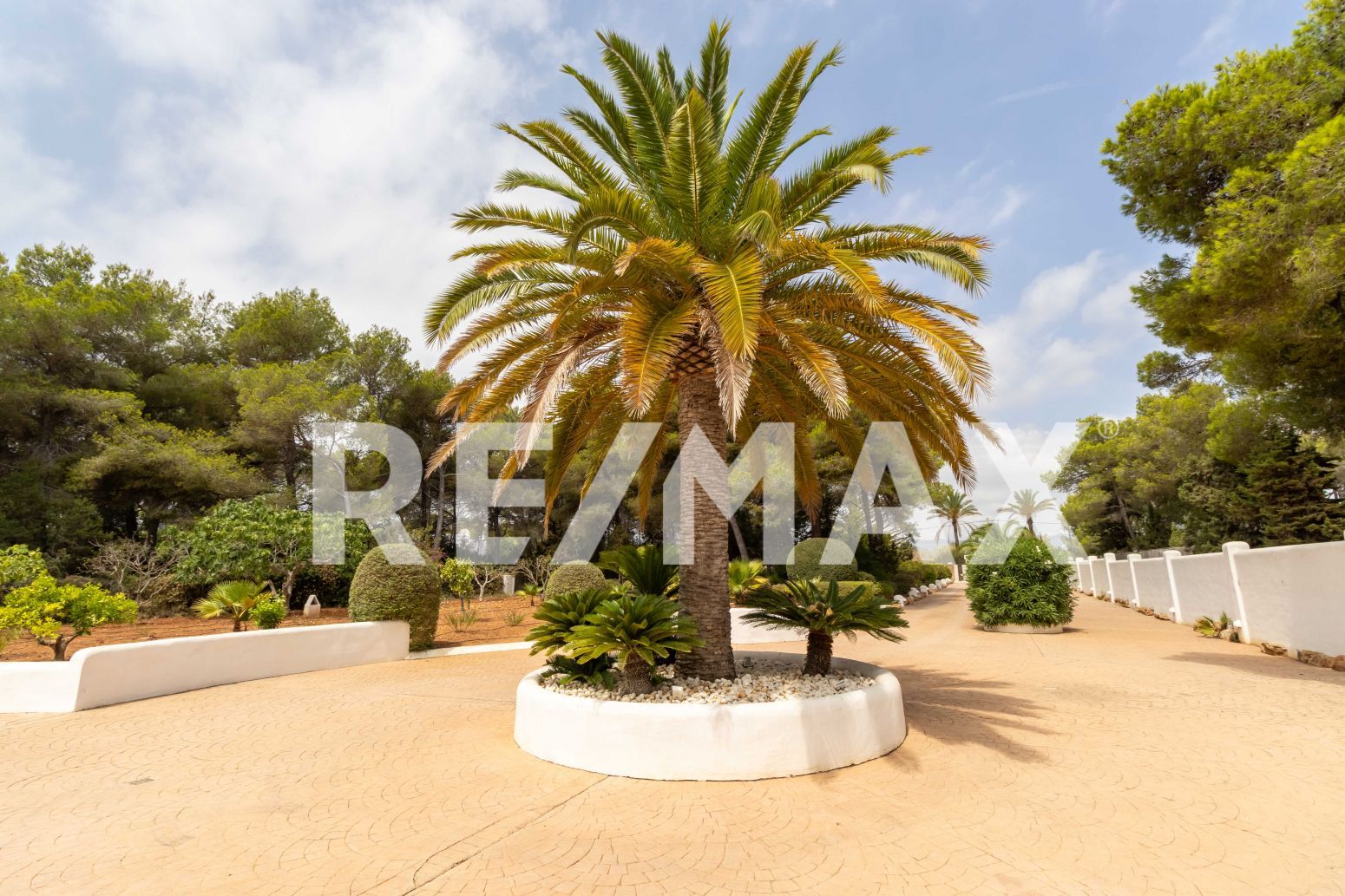 Casas o chalets-Venta-Santa Eulalia del RÃ­o-2442452-Foto-24