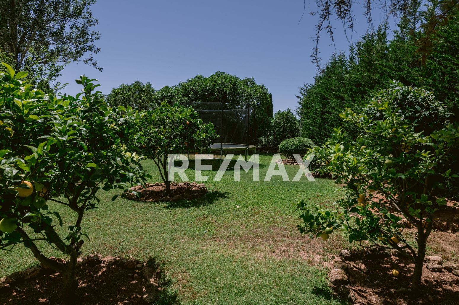Casas o chalets-Venta-Santa Eulalia del RÃ­o-2442425-Foto-71