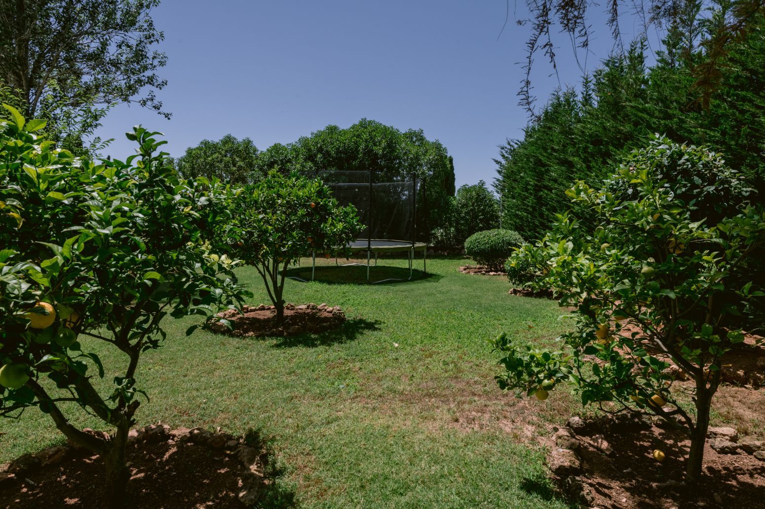 Casas o chalets-Venta-Santa Eulalia del RÃ­o-2442425-Foto-72