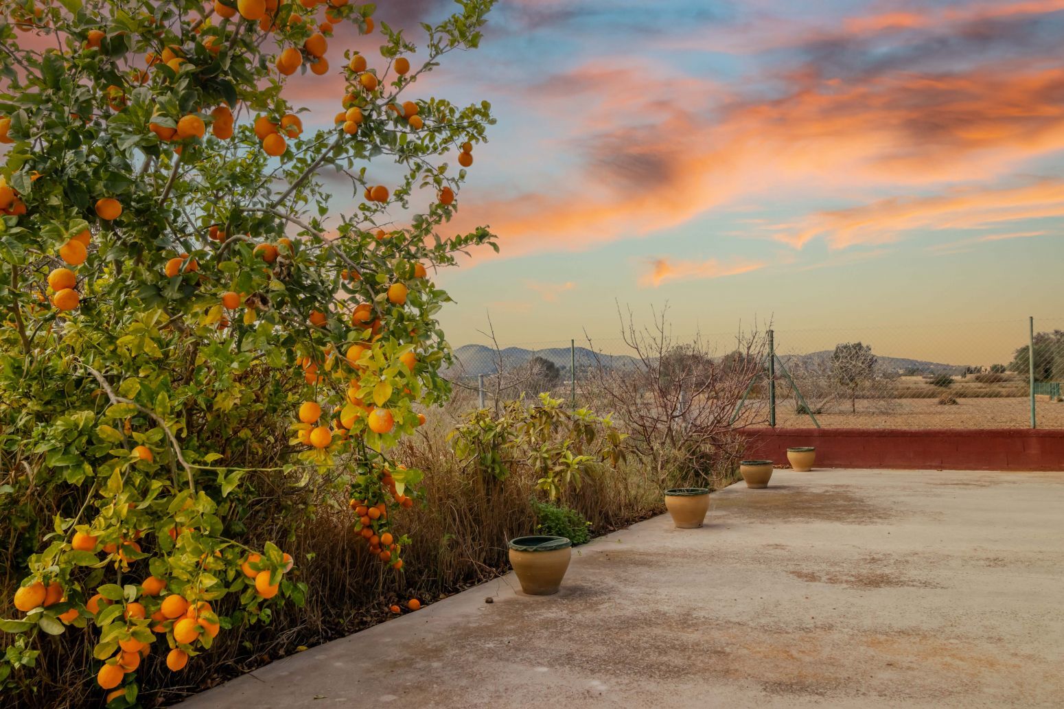 Casas o chalets-Venta-Santa Eulalia del RÃ­o-2442407-Foto-15