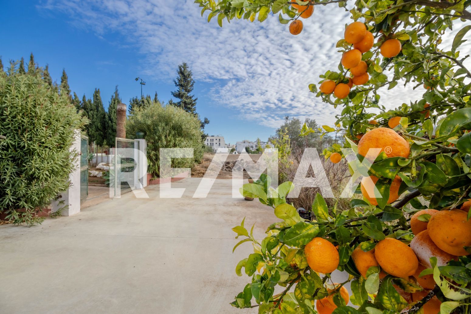 Casas o chalets-Venta-Santa Eulalia del RÃ­o-2442407-Foto-59