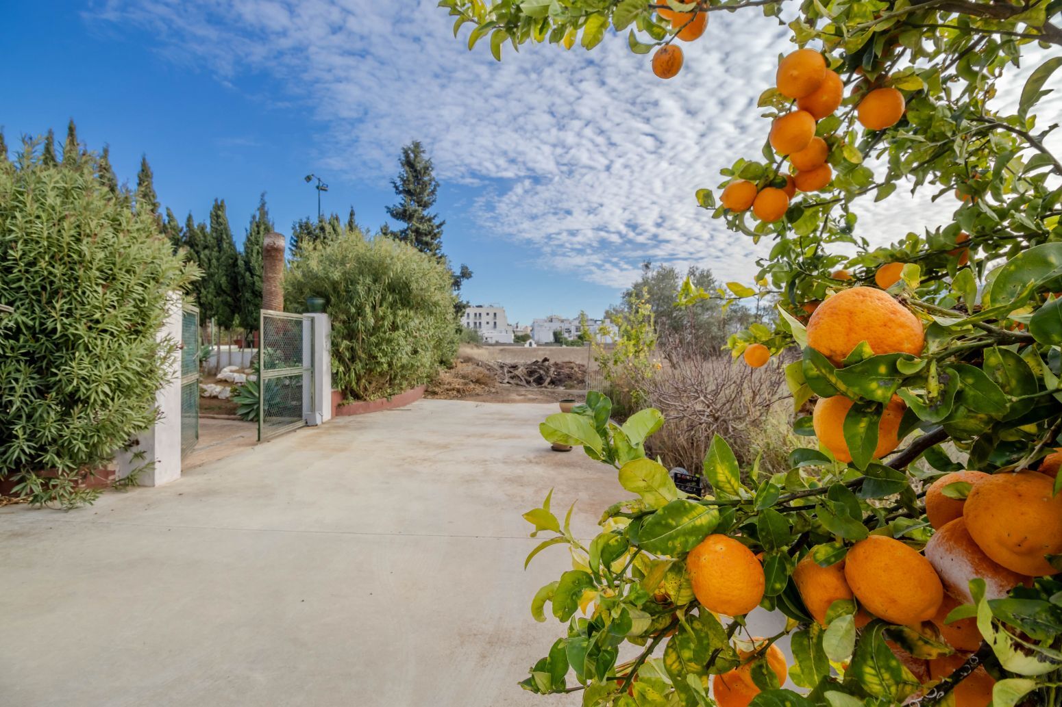 Casas o chalets-Venta-Santa Eulalia del RÃ­o-2442407-Foto-60