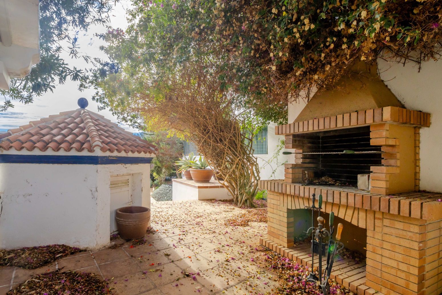 Casas o chalets-Venta-Santa Eulalia del RÃ­o-2442407-Foto-76