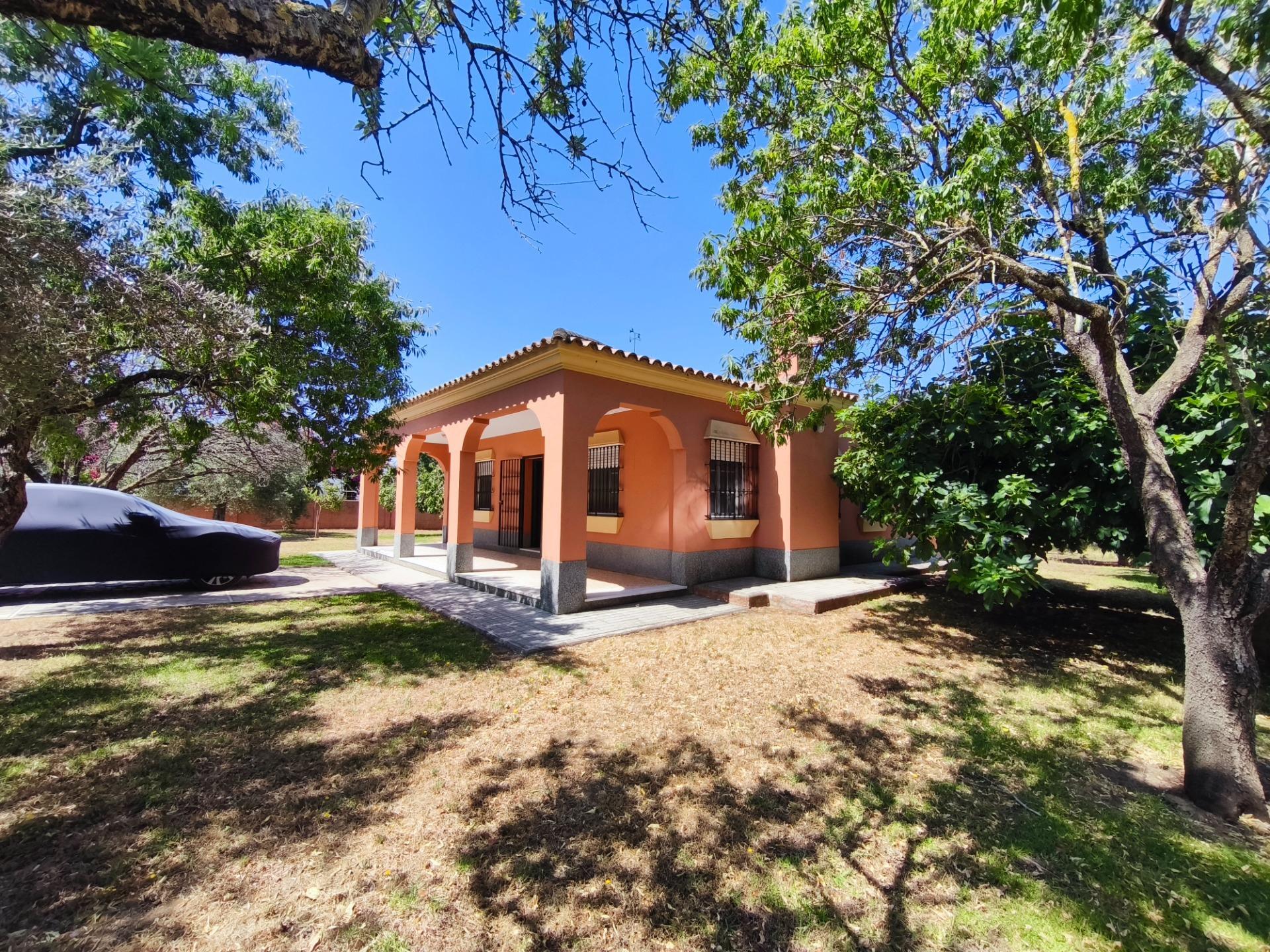Casas o chalets-Venta-Chiclana de la Frontera-2411924-Foto-31