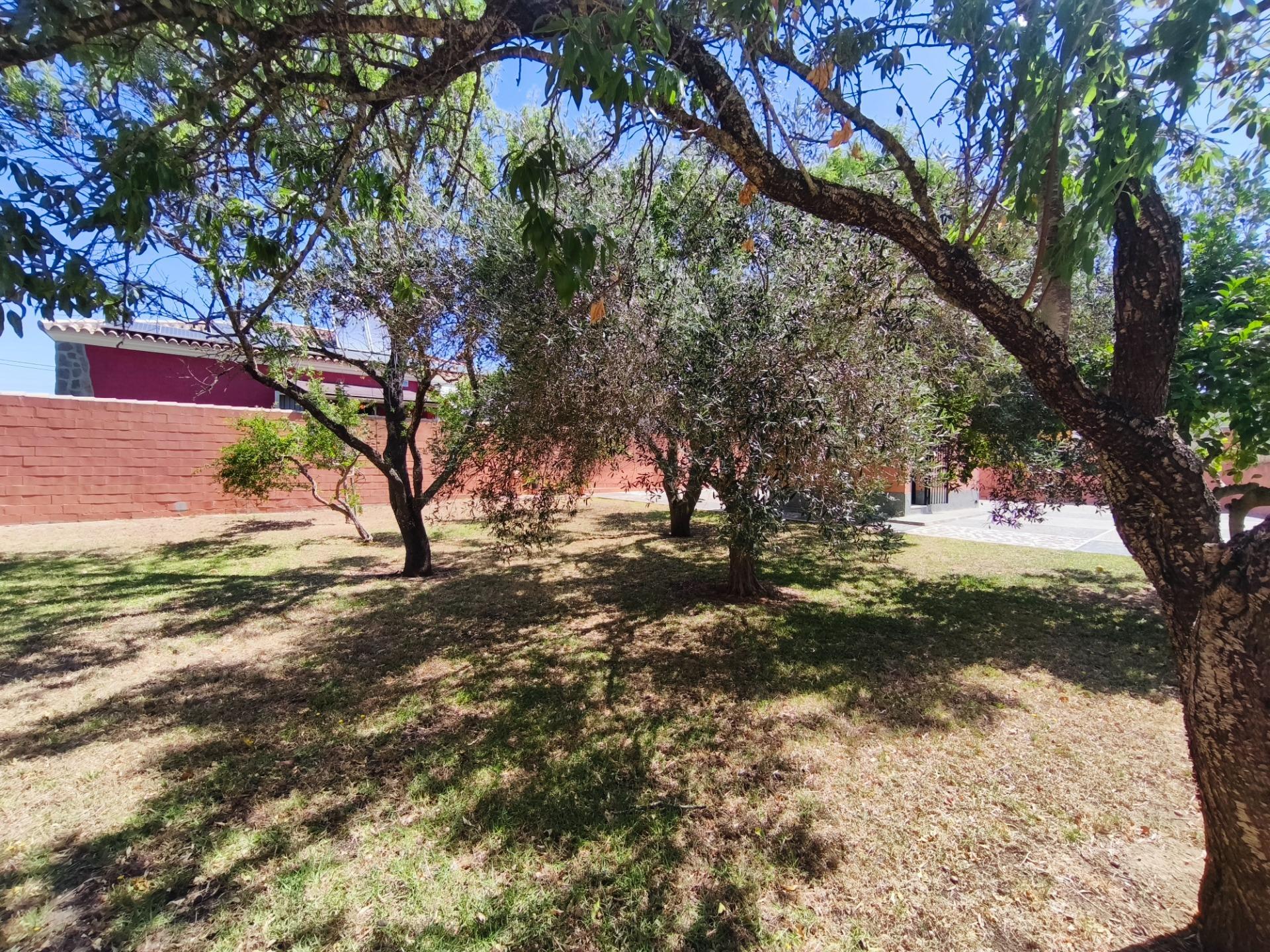 Casas o chalets-Venta-Chiclana de la Frontera-2411924-Foto-30