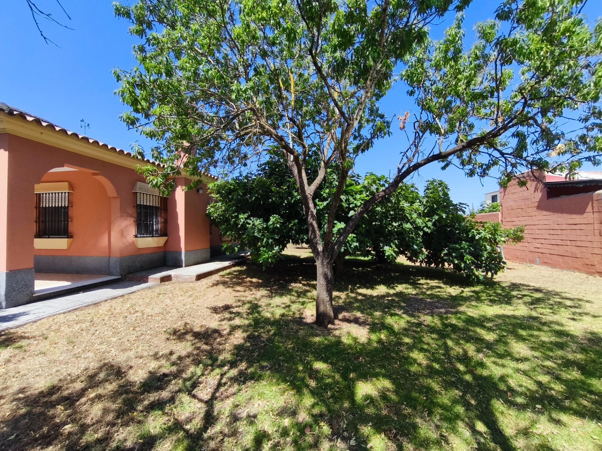 Casas o chalets-Venta-Chiclana de la Frontera-2411924-Foto-32