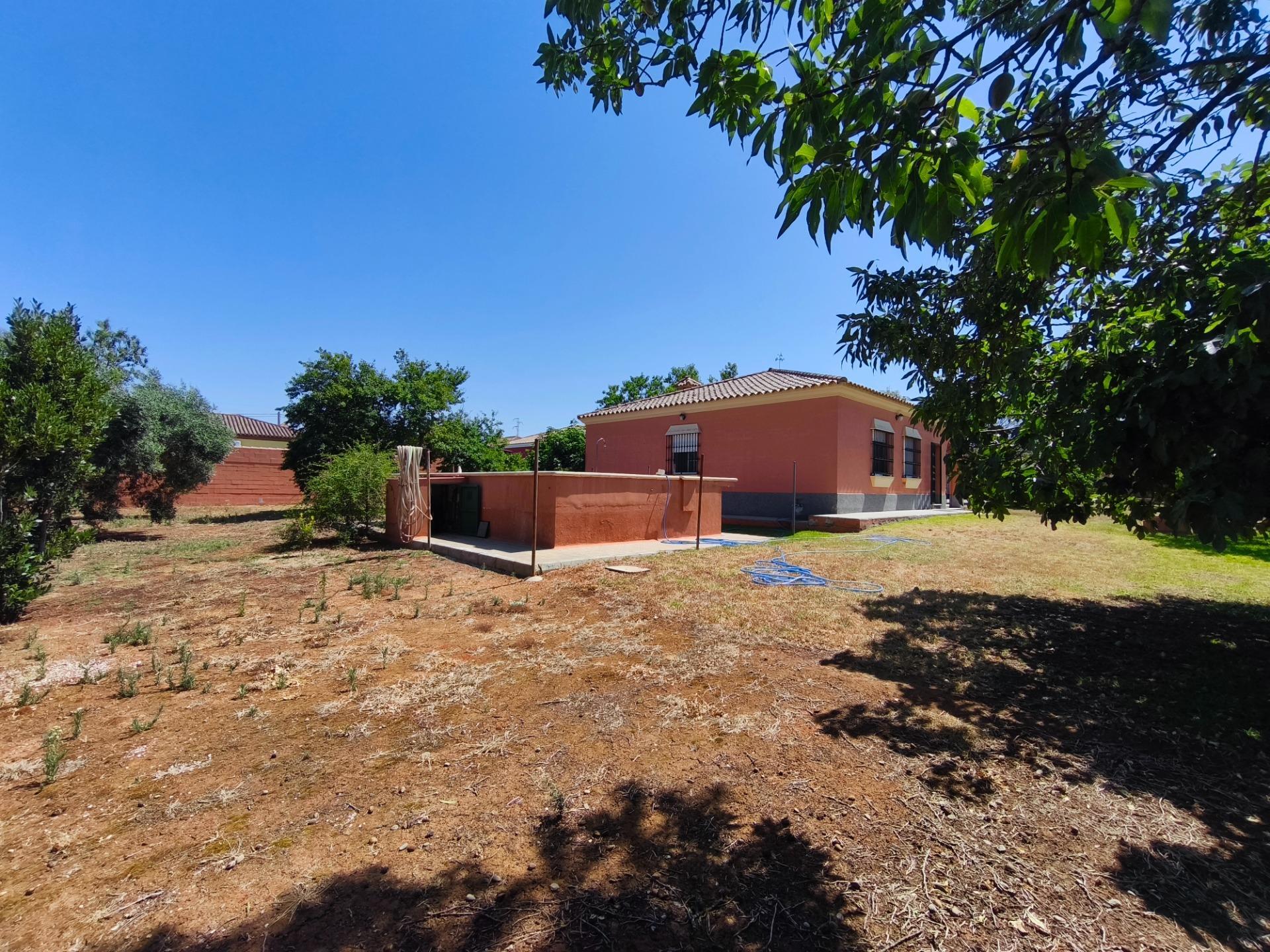 Casas o chalets-Venta-Chiclana de la Frontera-2411924-Foto-41