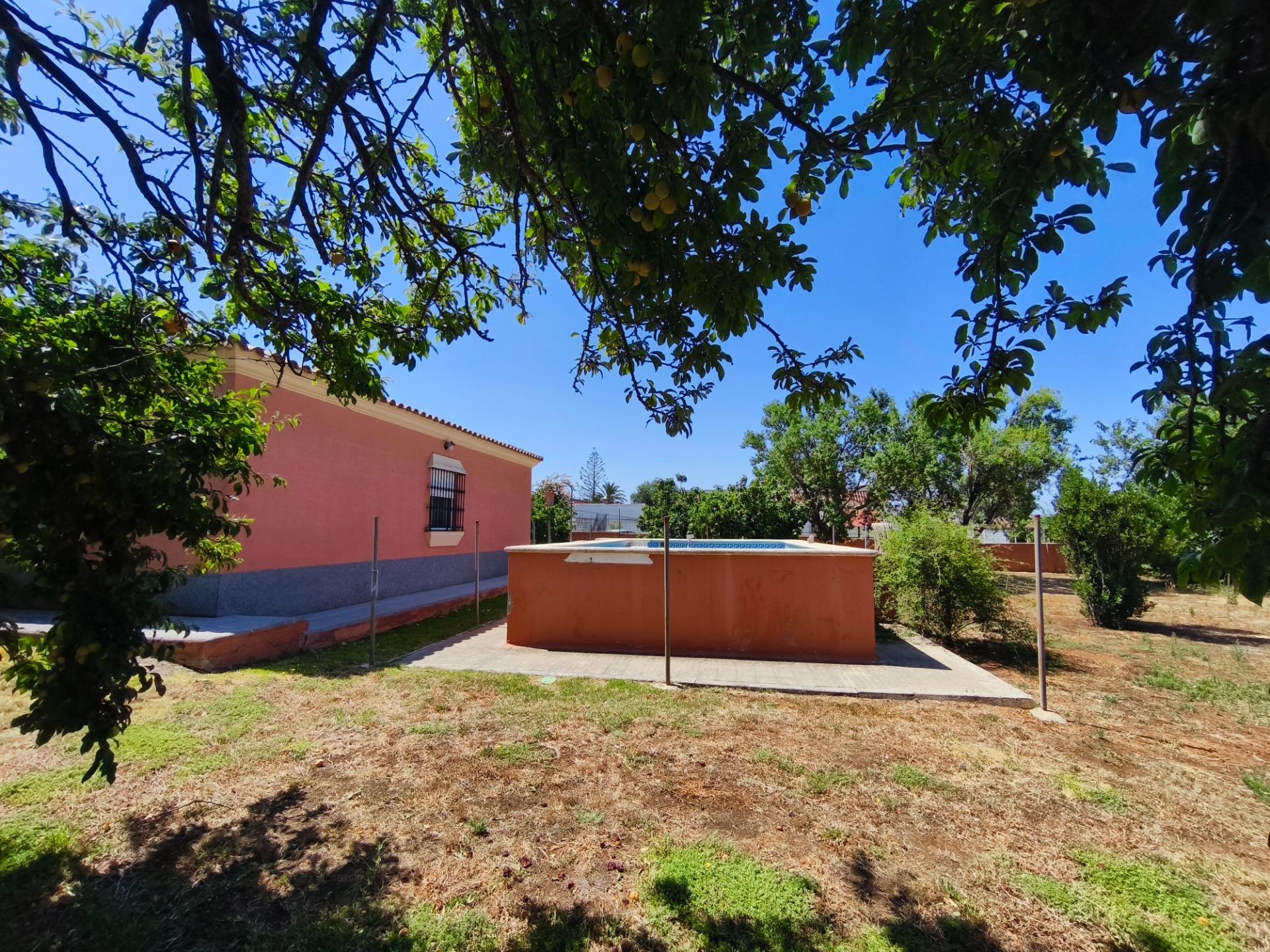 Casas o chalets-Venta-Chiclana de la Frontera-2411924-Foto-47