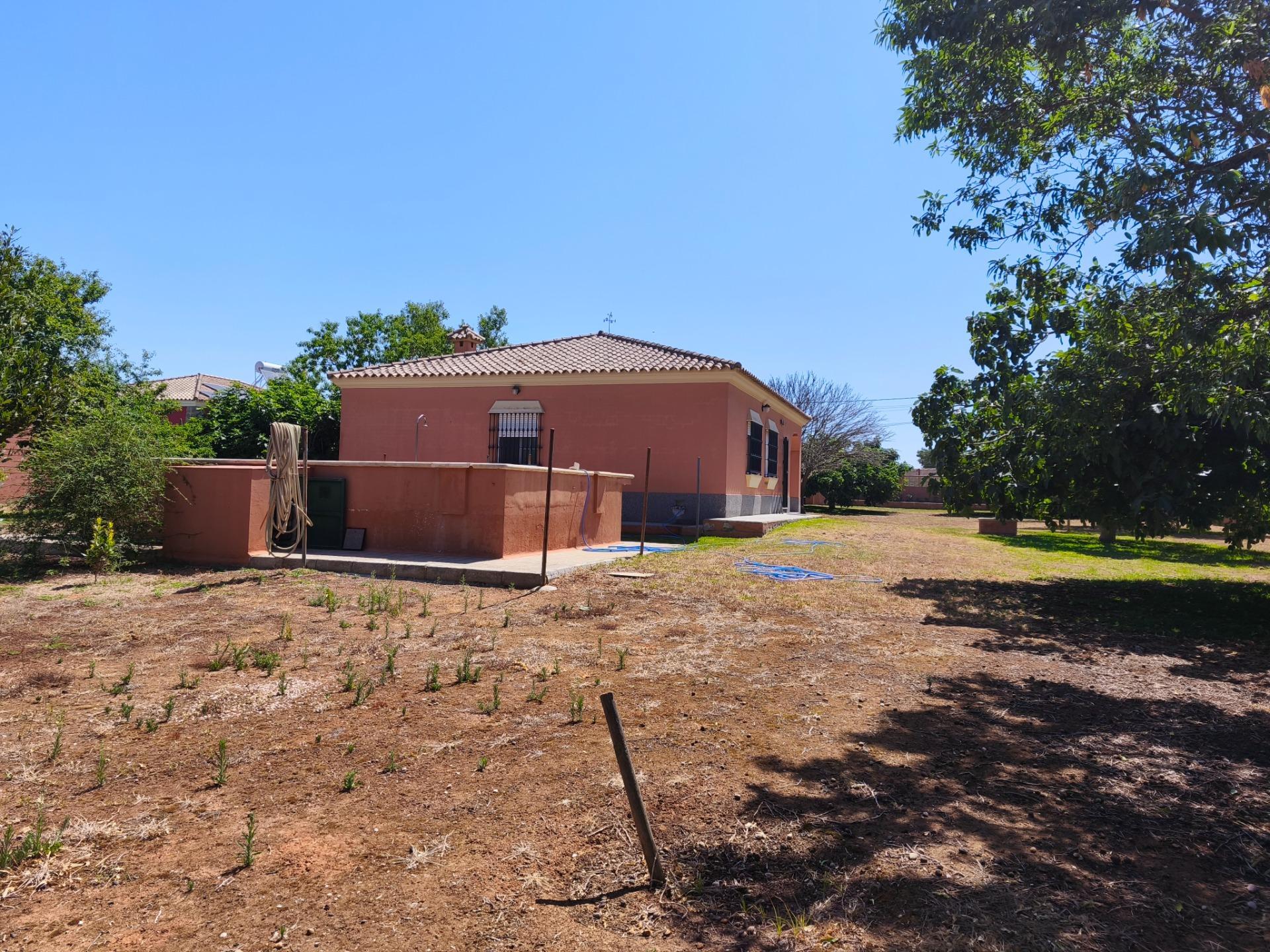 Casas o chalets-Venta-Chiclana de la Frontera-2411924-Foto-42