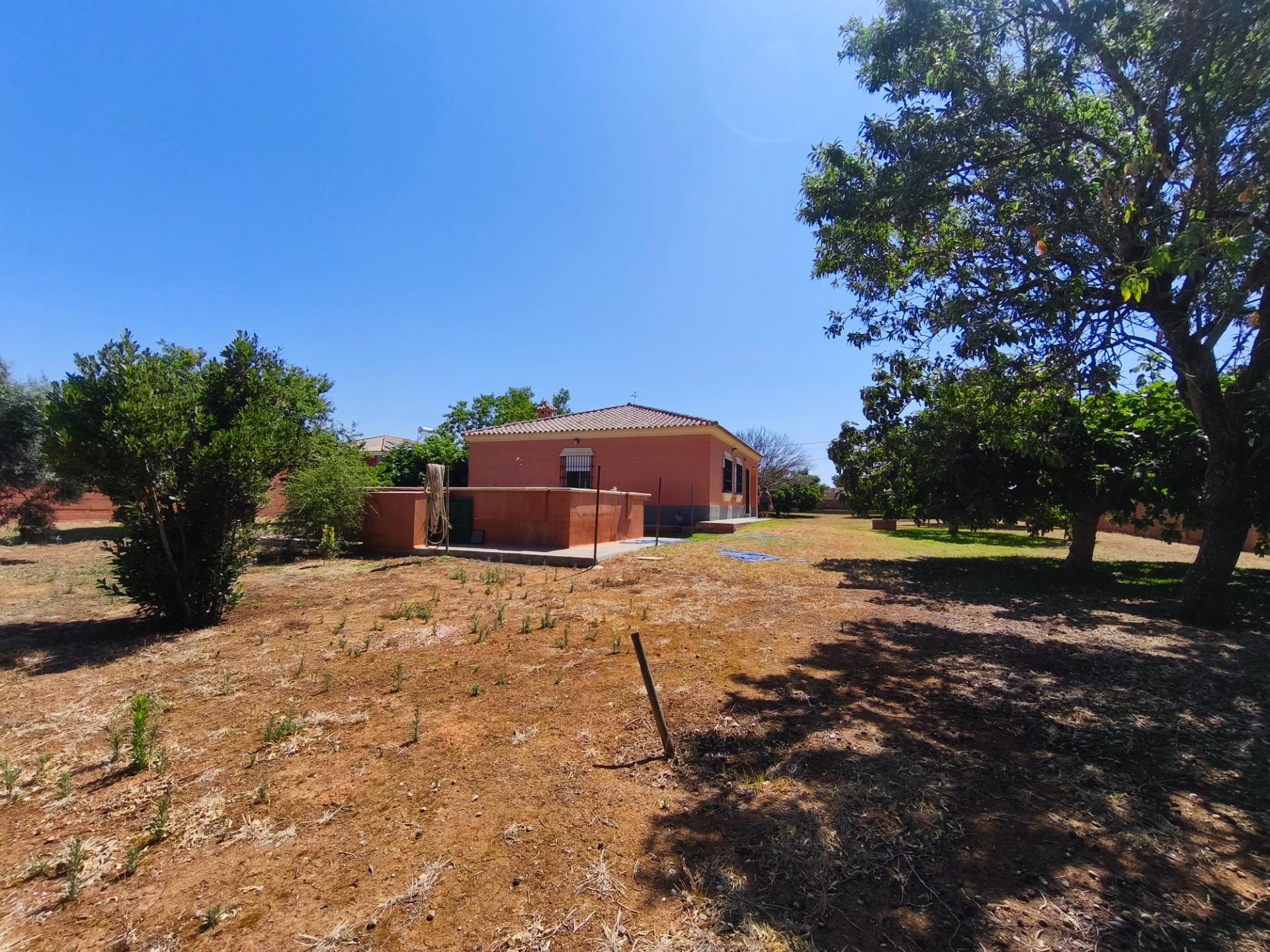 Casas o chalets-Venta-Chiclana de la Frontera-2411924-Foto-43