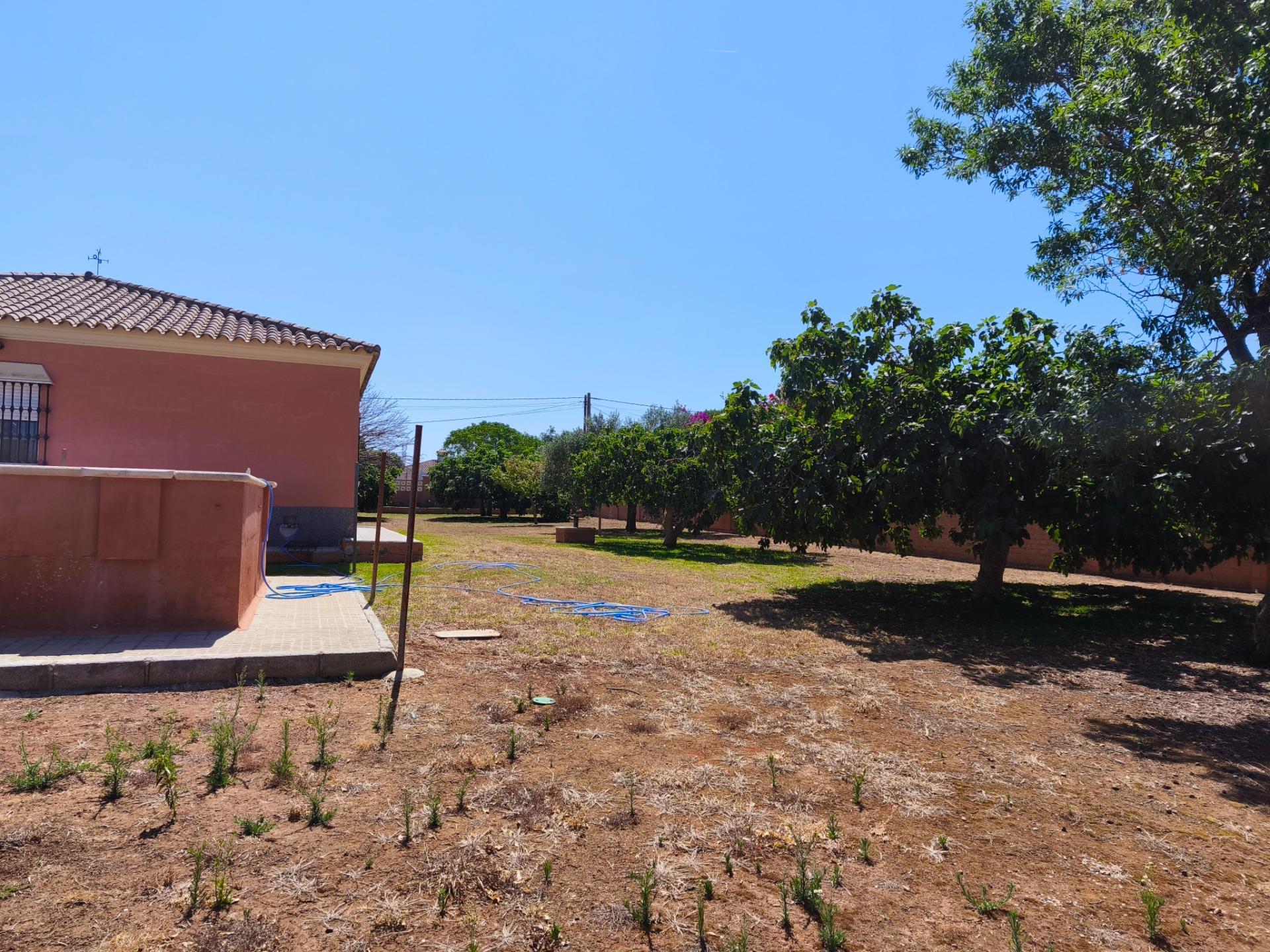 Casas o chalets-Venta-Chiclana de la Frontera-2411924-Foto-44