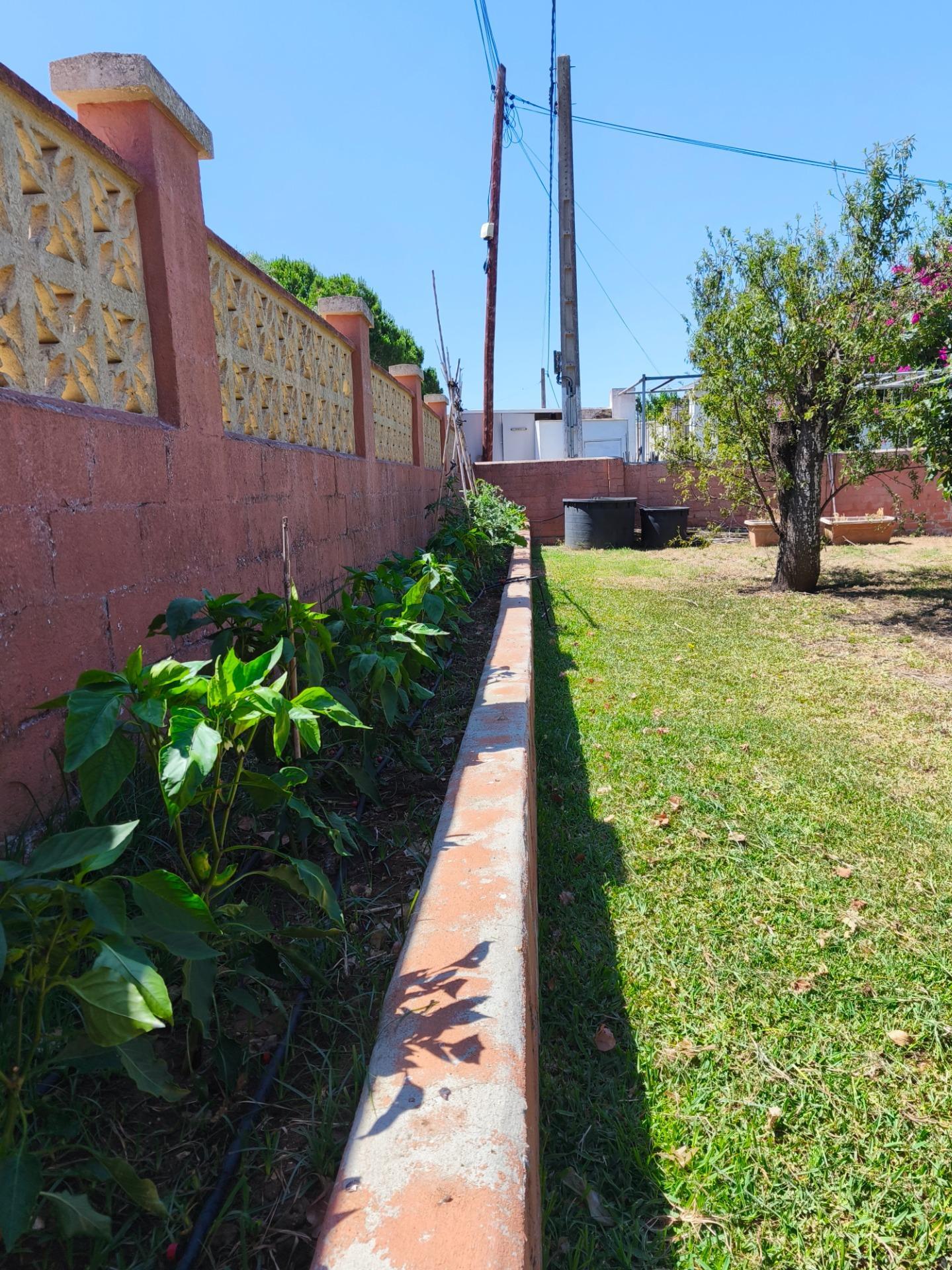 Casas o chalets-Venta-Chiclana de la Frontera-2411924-Foto-49