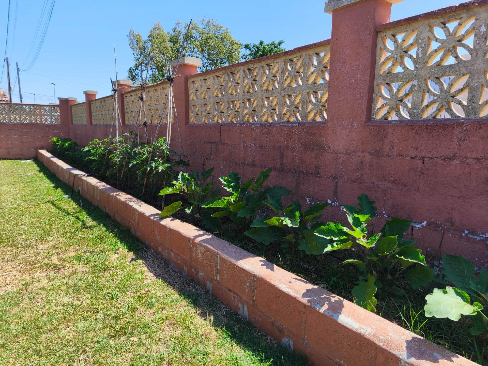 Casas o chalets-Venta-Chiclana de la Frontera-2411924-Foto-50