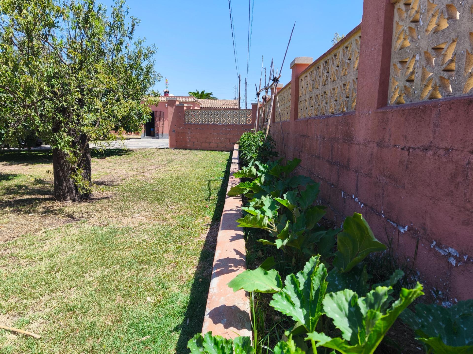 Casas o chalets-Venta-Chiclana de la Frontera-2411924-Foto-51