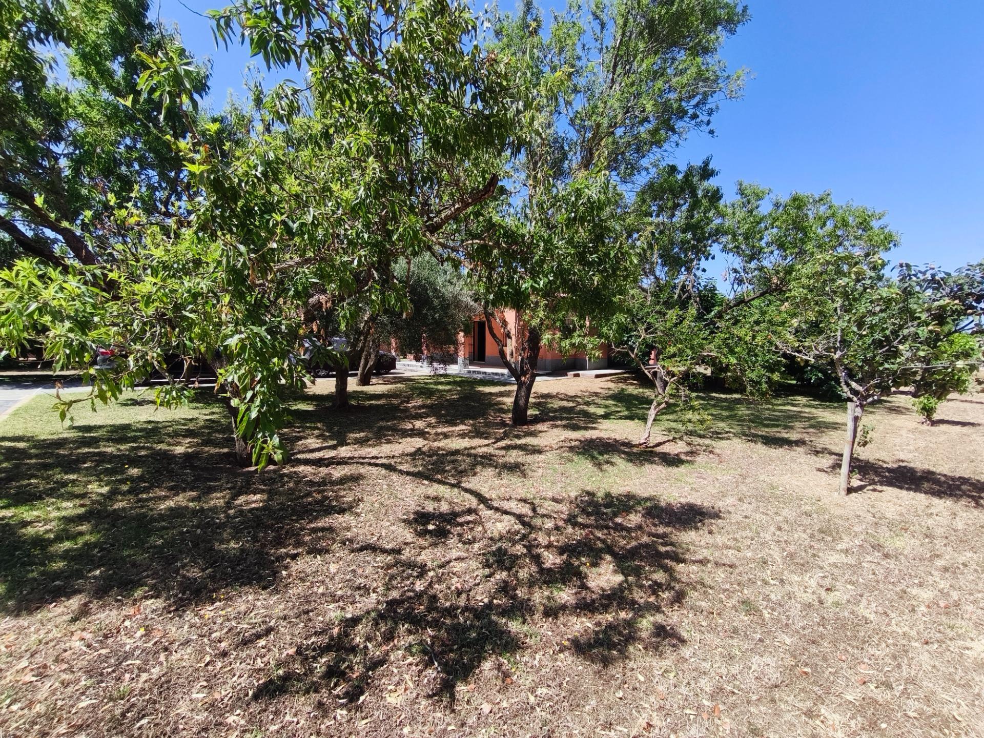 Casas o chalets-Venta-Chiclana de la Frontera-2411924-Foto-54