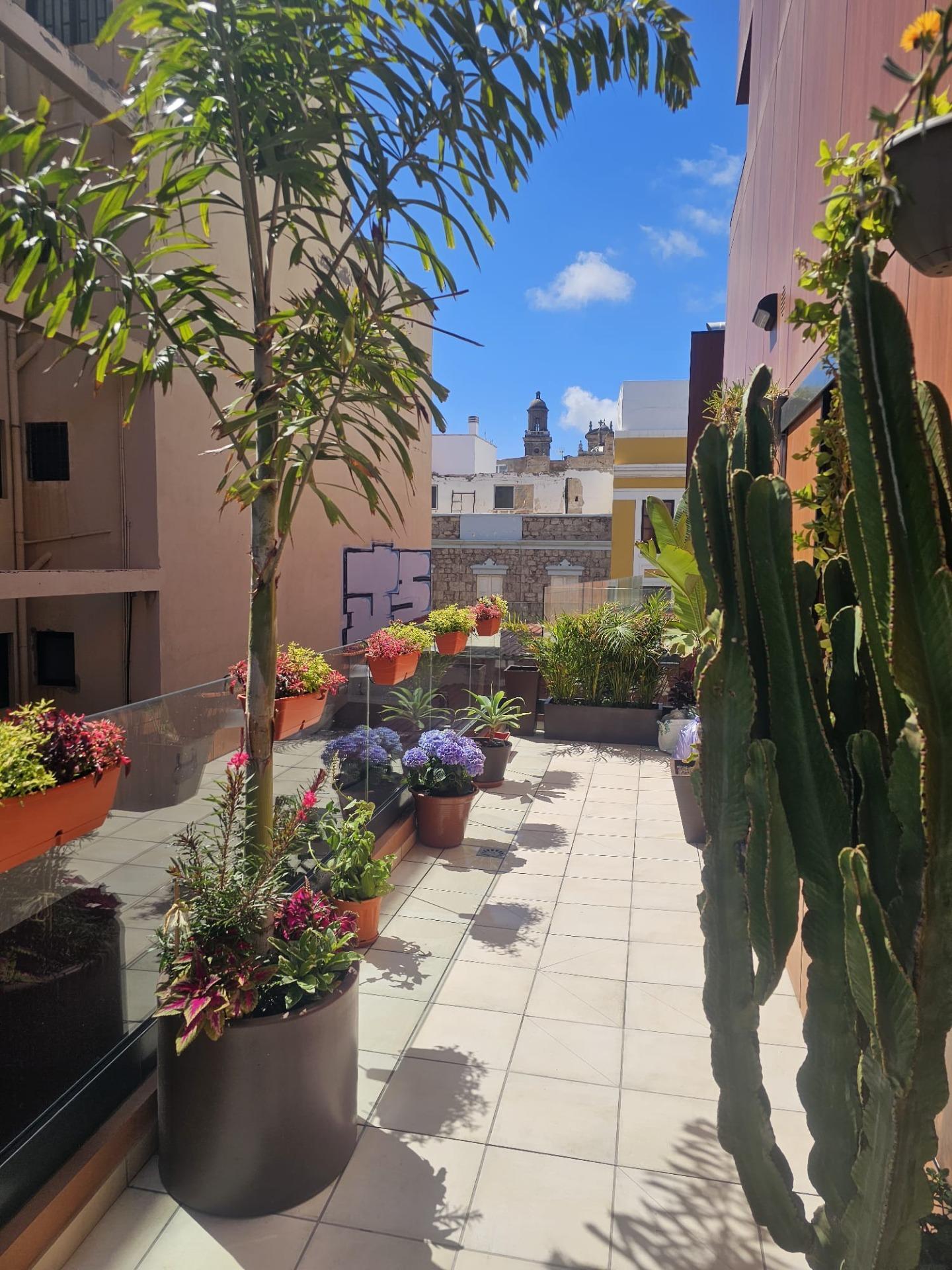 Pisos-Venta-Las Palmas de Gran Canaria-1835997-Foto-2