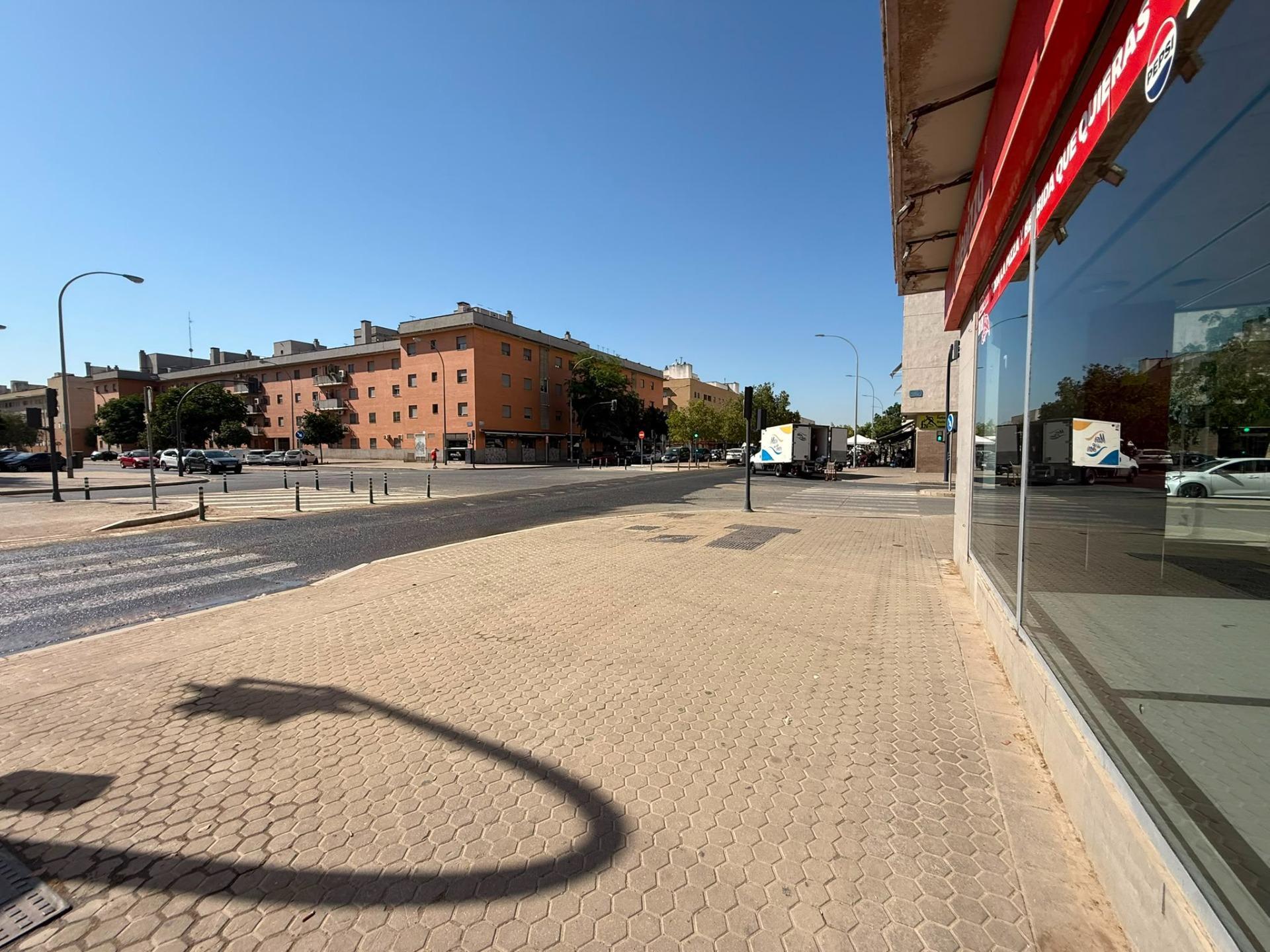 Negocios-Alquiler-Burguillos-2410869-Foto-6