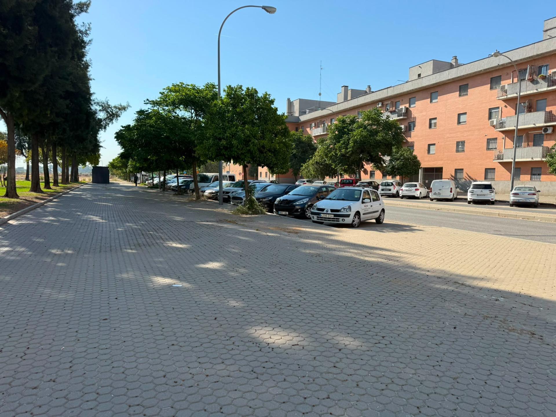 Negocios-Alquiler-Burguillos-2410869-Foto-20