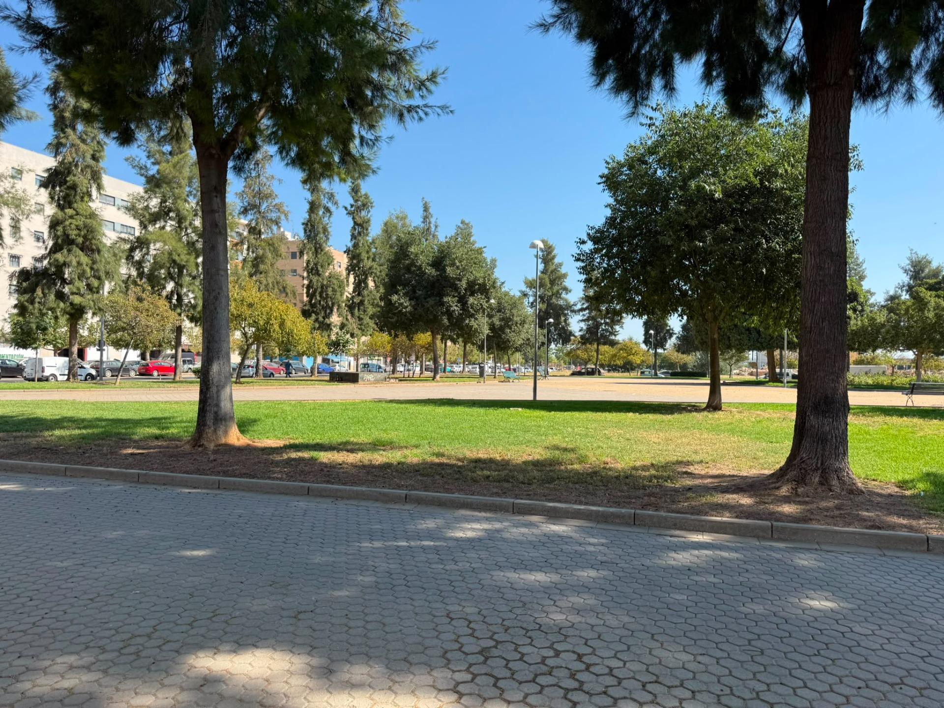 Negocios-Alquiler-Burguillos-2410869-Foto-22
