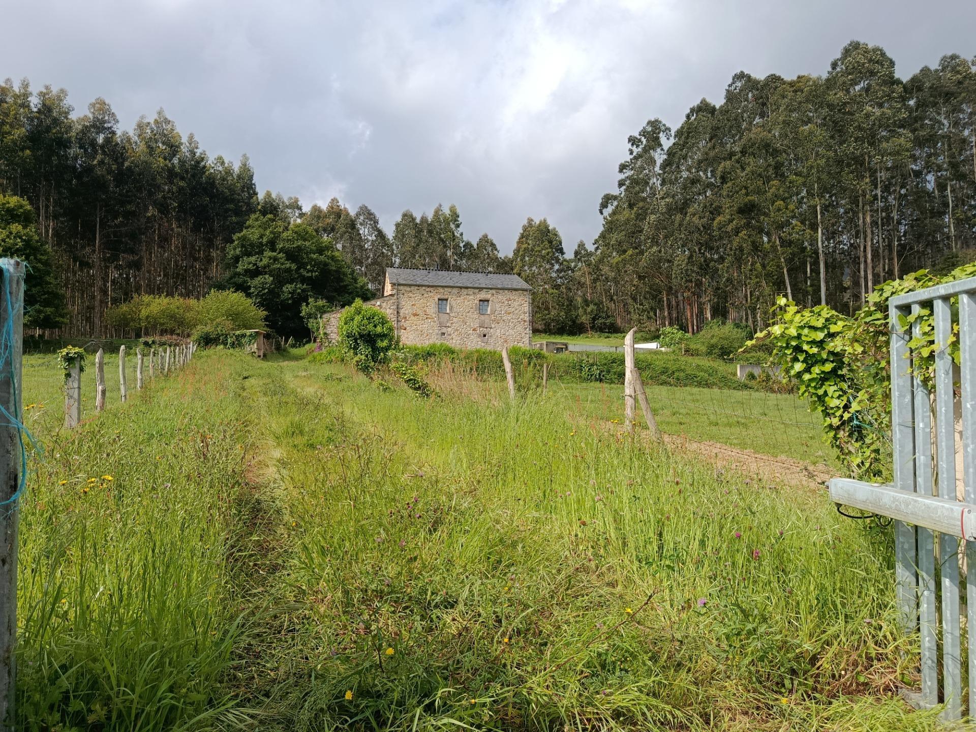 Casas o chalets-Venta-Foz-2059844-Foto-4