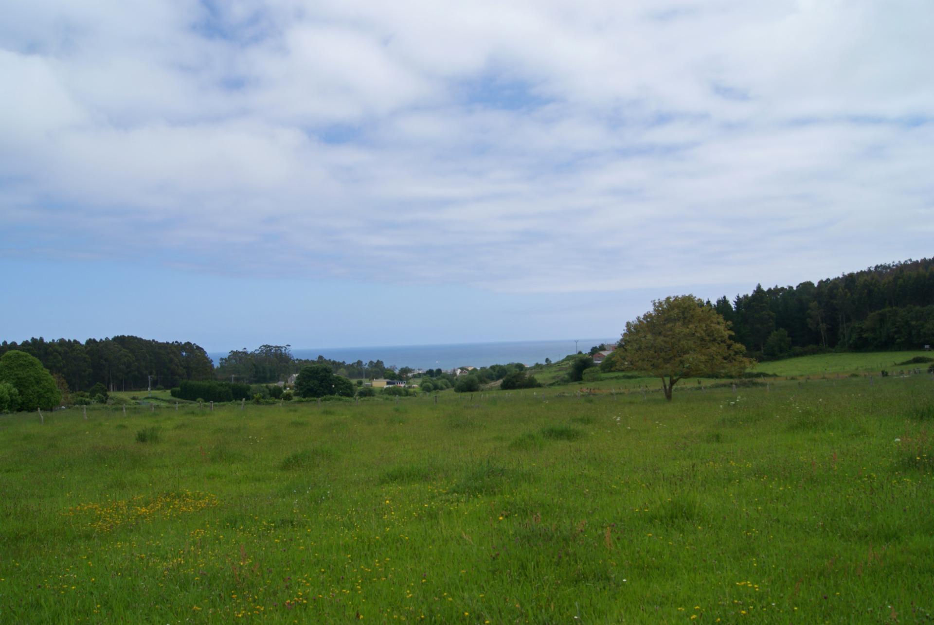 Casas o chalets-Venta-Foz-2059844-Foto-52