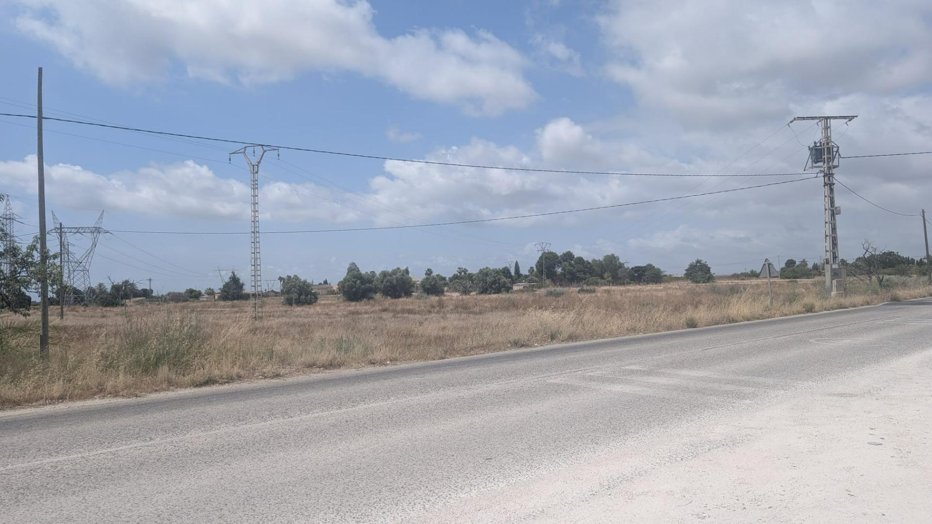 Fincas y solares-Venta-Elche-2412038-Foto-3