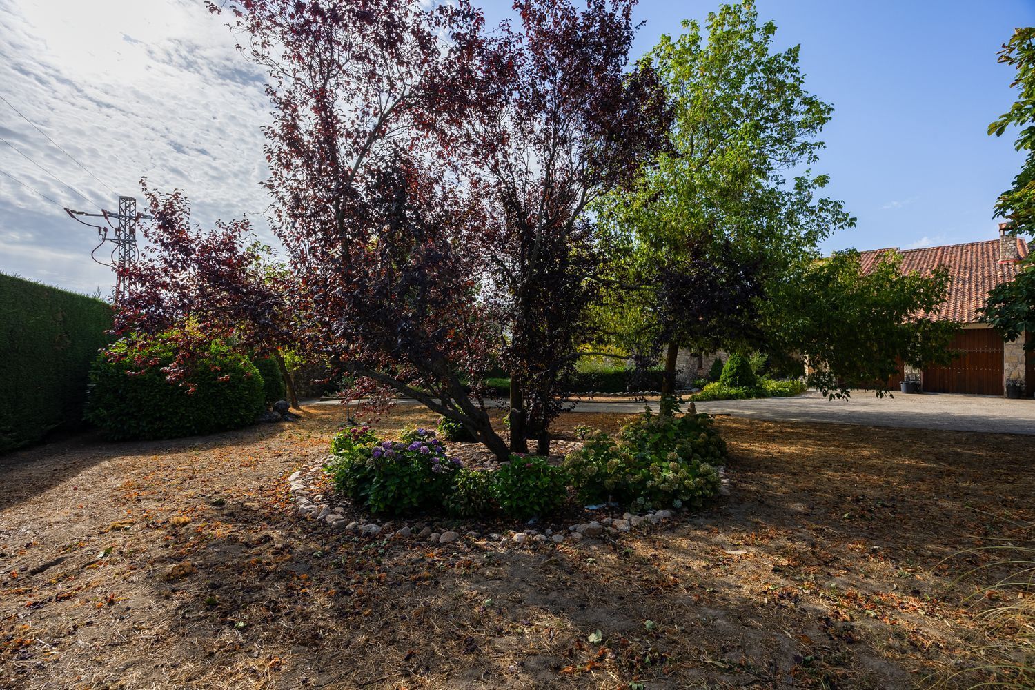 Casas o chalets-Venta-Torrecaballeros-1834097-Foto-22