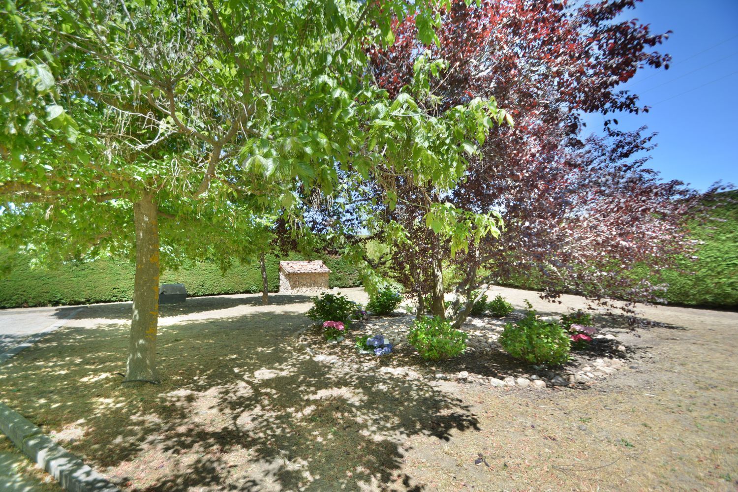 Casas o chalets-Venta-Torrecaballeros-1992835-Foto-9