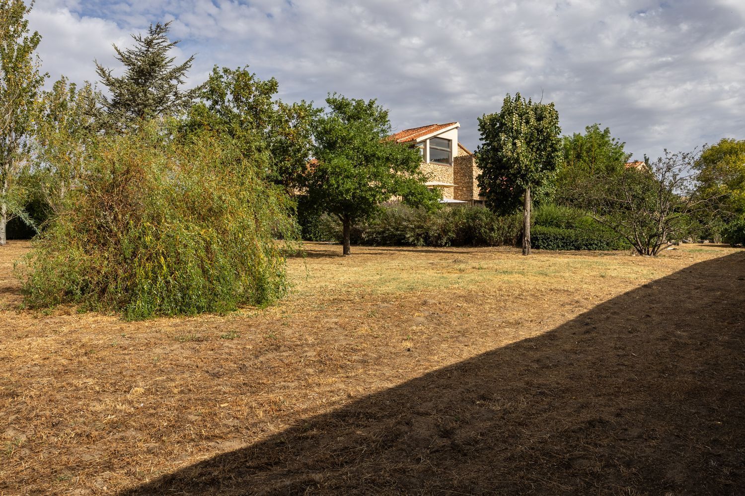 Casas o chalets-Venta-Torrecaballeros-1992835-Foto-42