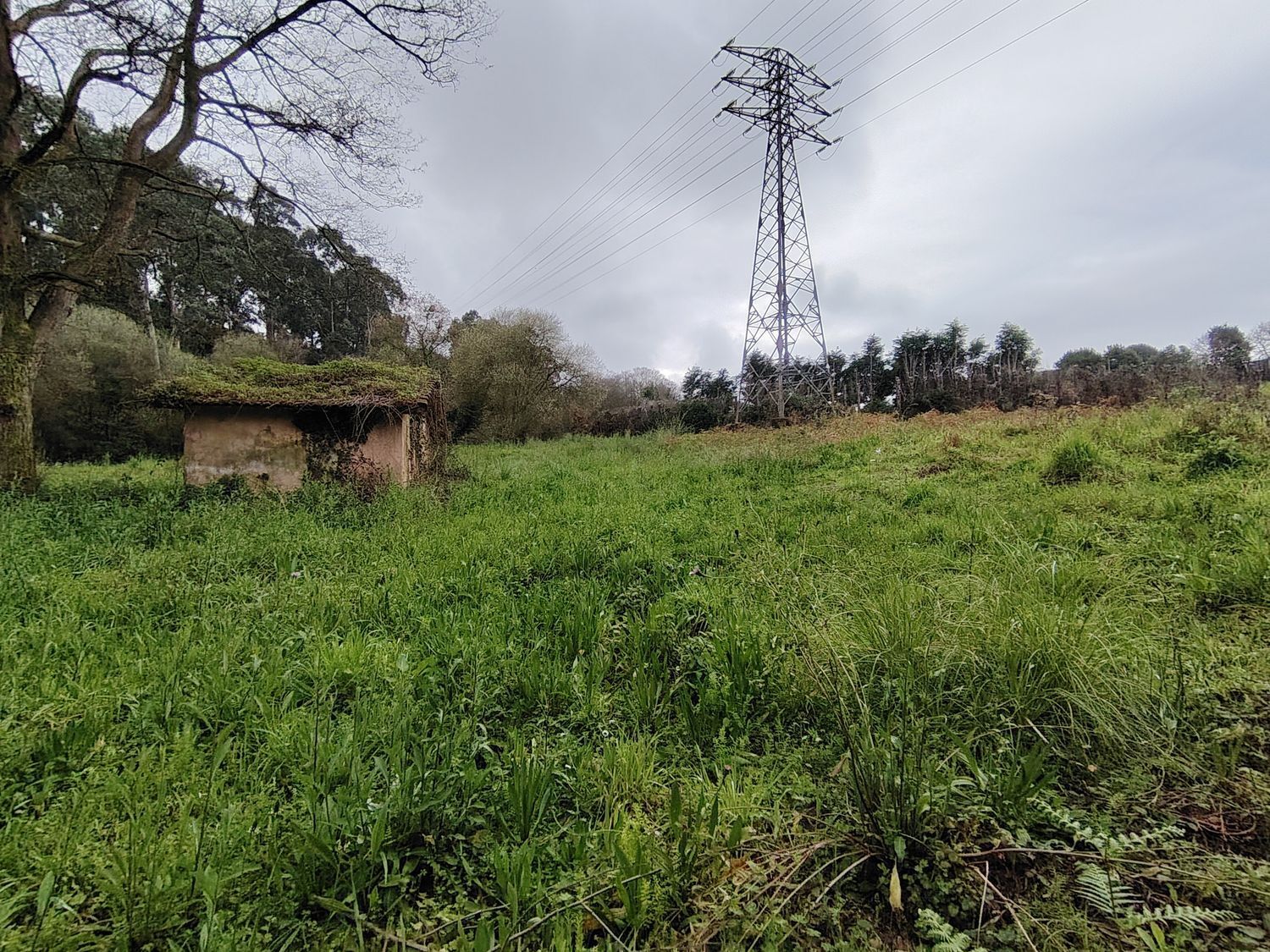 Fincas y solares-Venta-Murcia-2412470-Foto-5
