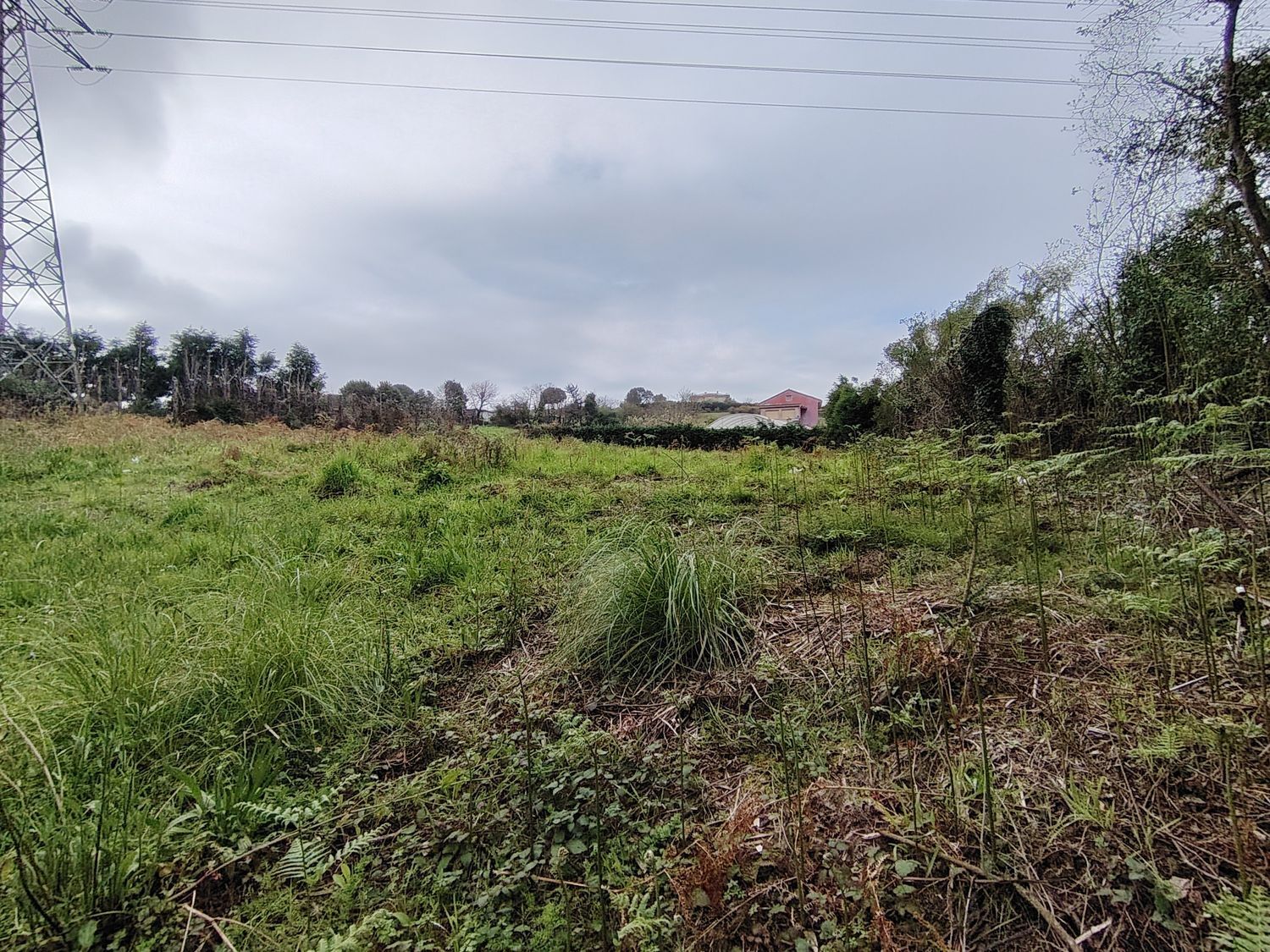 Fincas y solares-Venta-Murcia-2412470-Foto-6