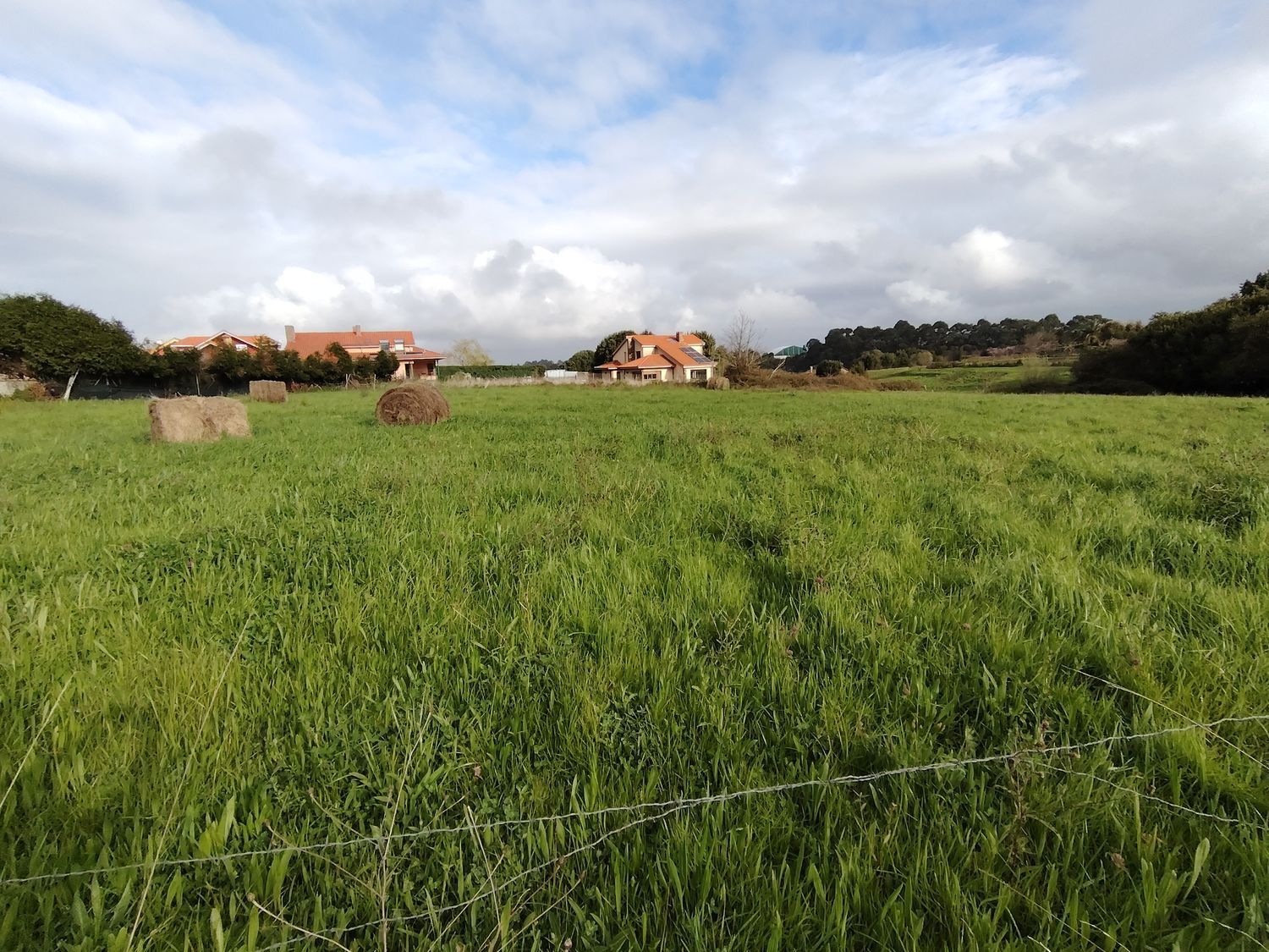 Fincas y solares-Venta-Murcia-2412473