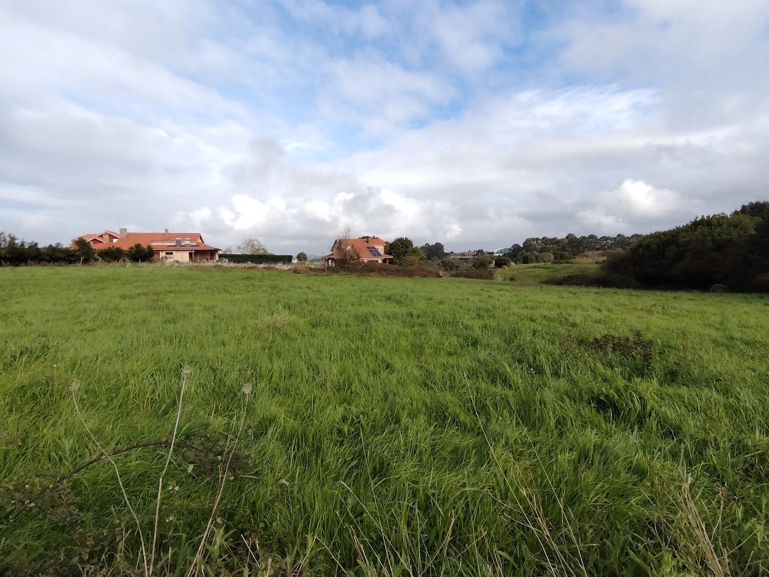 Fincas y solares-Venta-Murcia-2412473-Foto-2