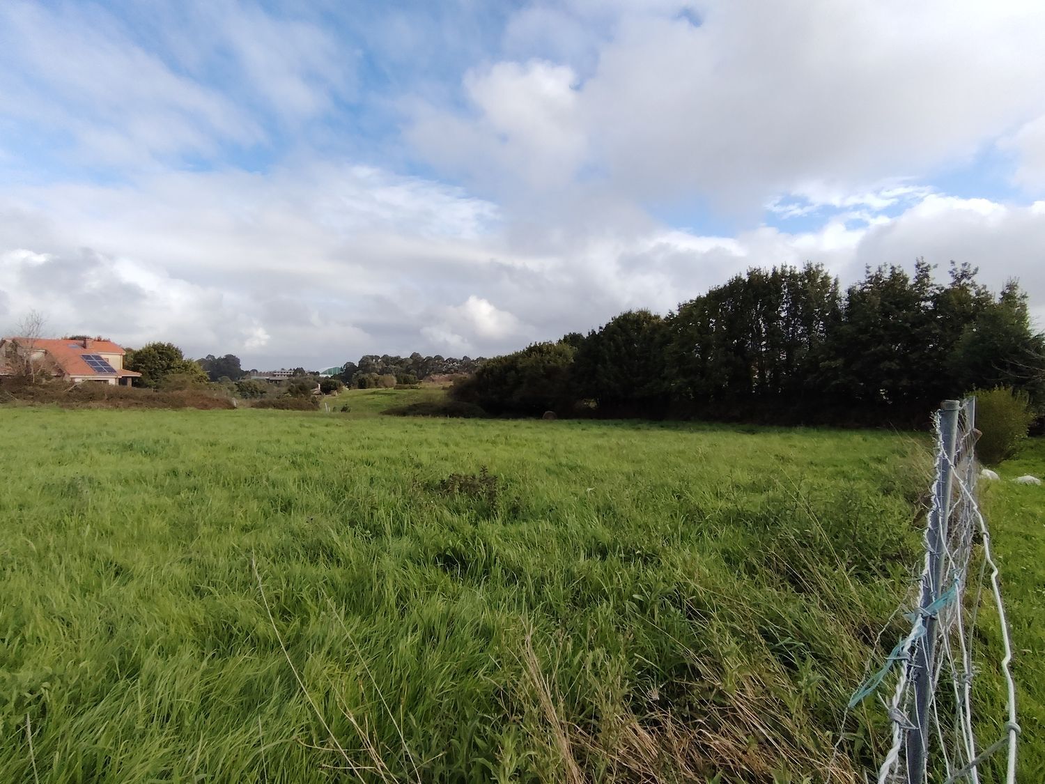 Fincas y solares-Venta-Murcia-2412473-Foto-3