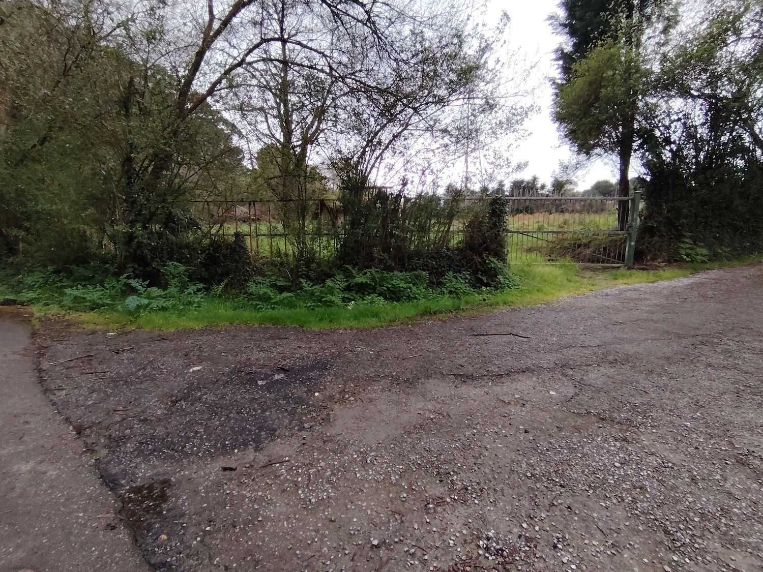 Fincas y solares-Venta-Murcia-2412470-Foto-7