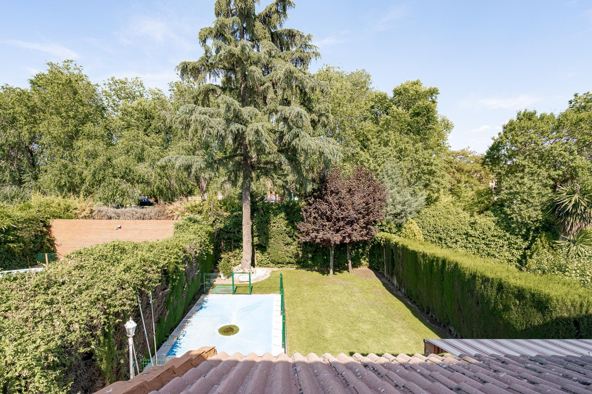 Casas o chalets-Venta-Rivas-Vaciamadrid-2411933-Foto-56