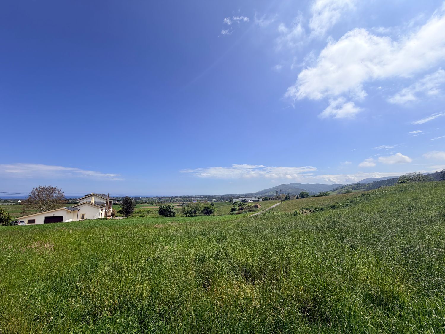 Fincas y solares-Venta-ValdÃ©s-2412467-Foto-8