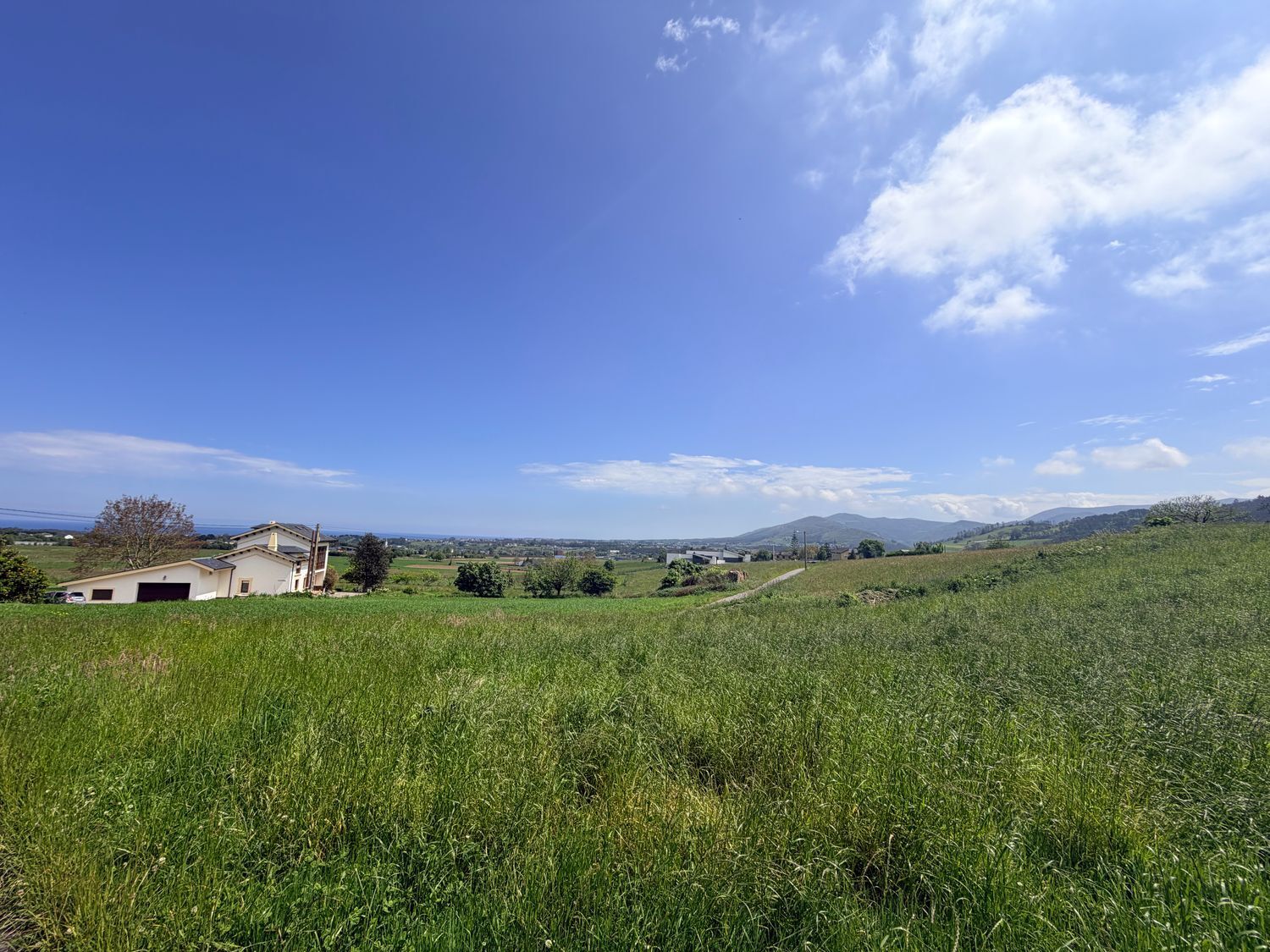 Fincas y solares-Venta-ValdÃ©s-2412467-Foto-12