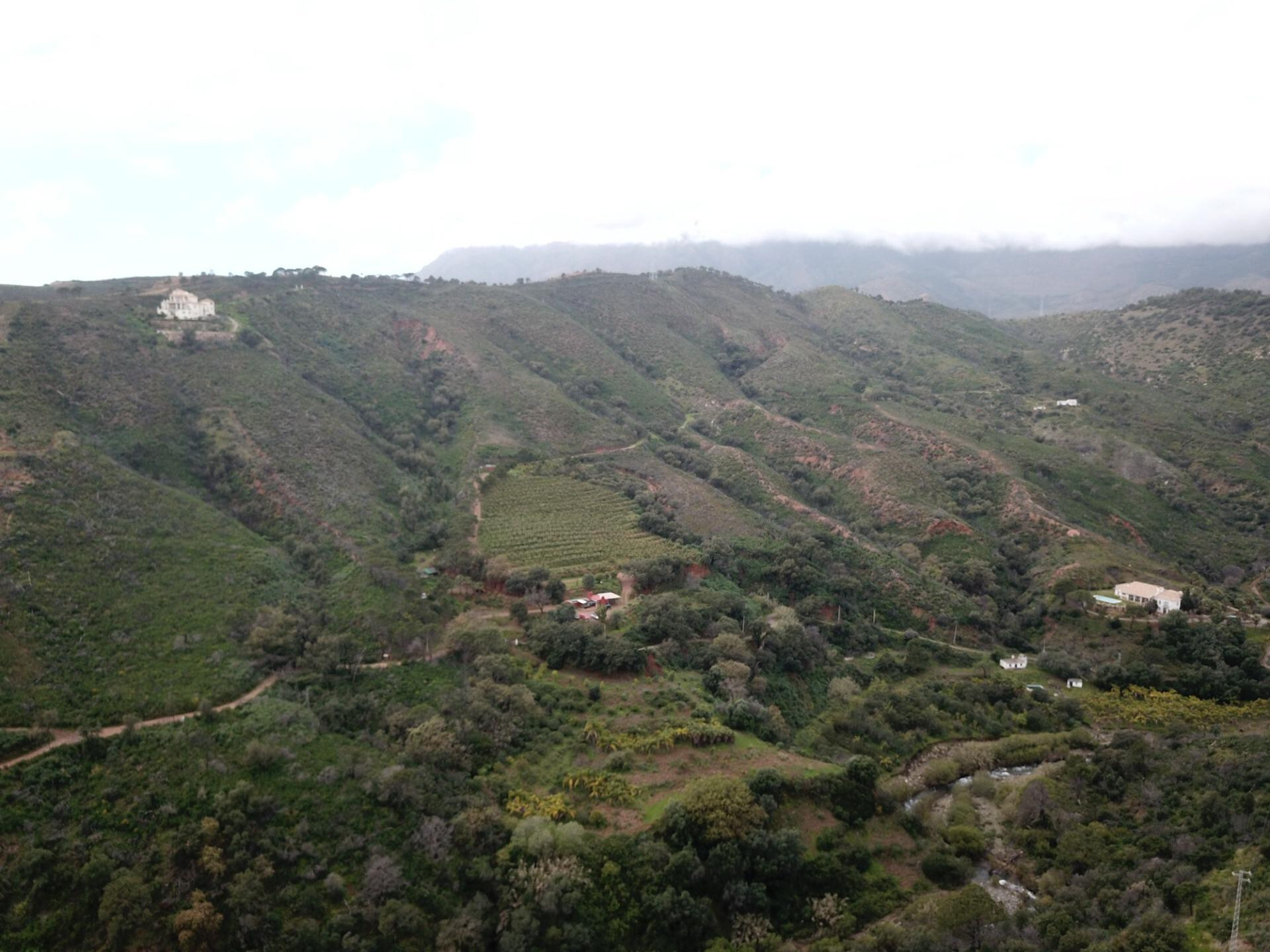 Fincas y solares-Venta-Estepona-1746685-Foto-4